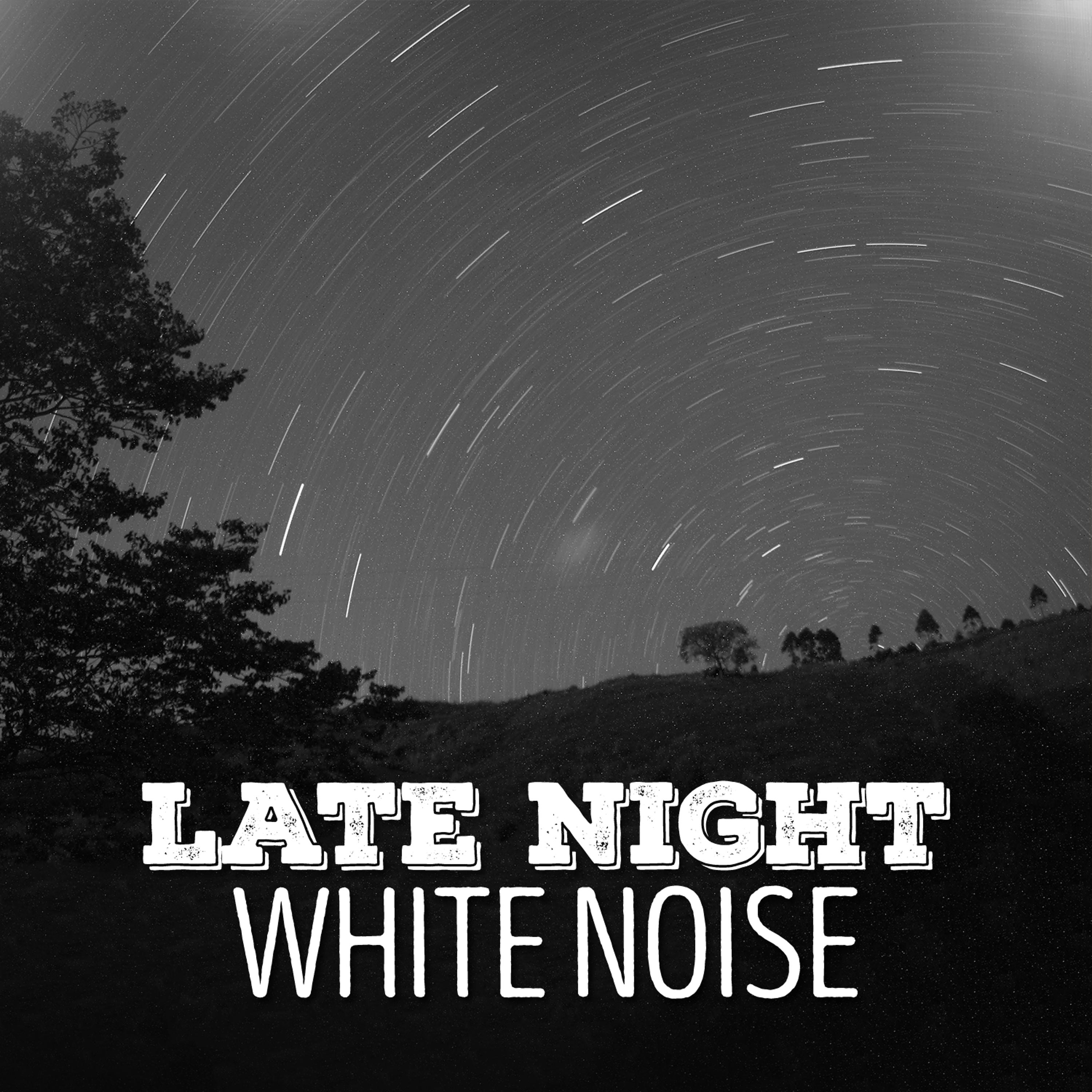 Постер альбома Late Night White Noise
