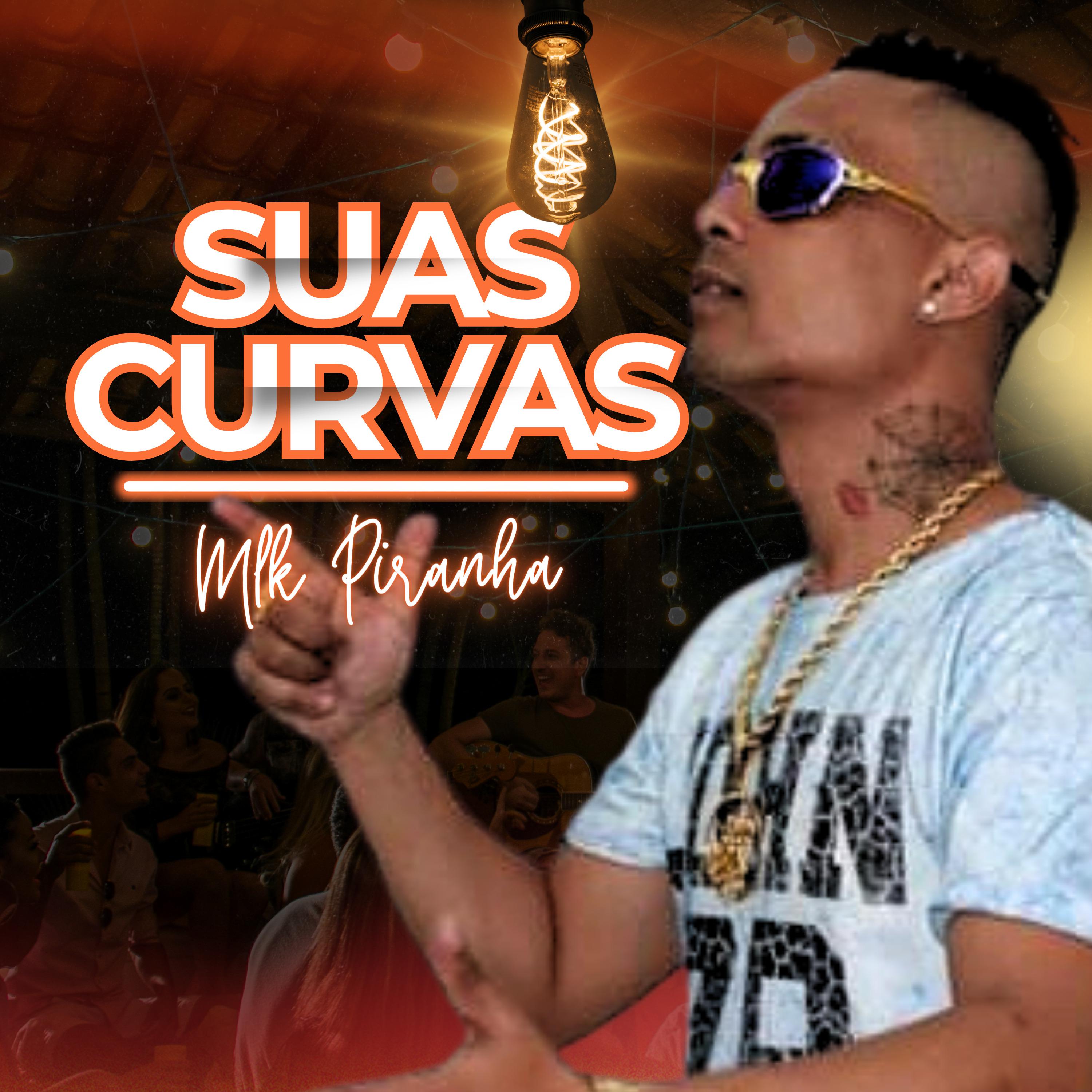 Постер альбома Suas Curvas