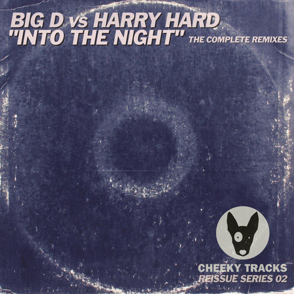 Постер альбома Into The Night (The Complete Remixes)