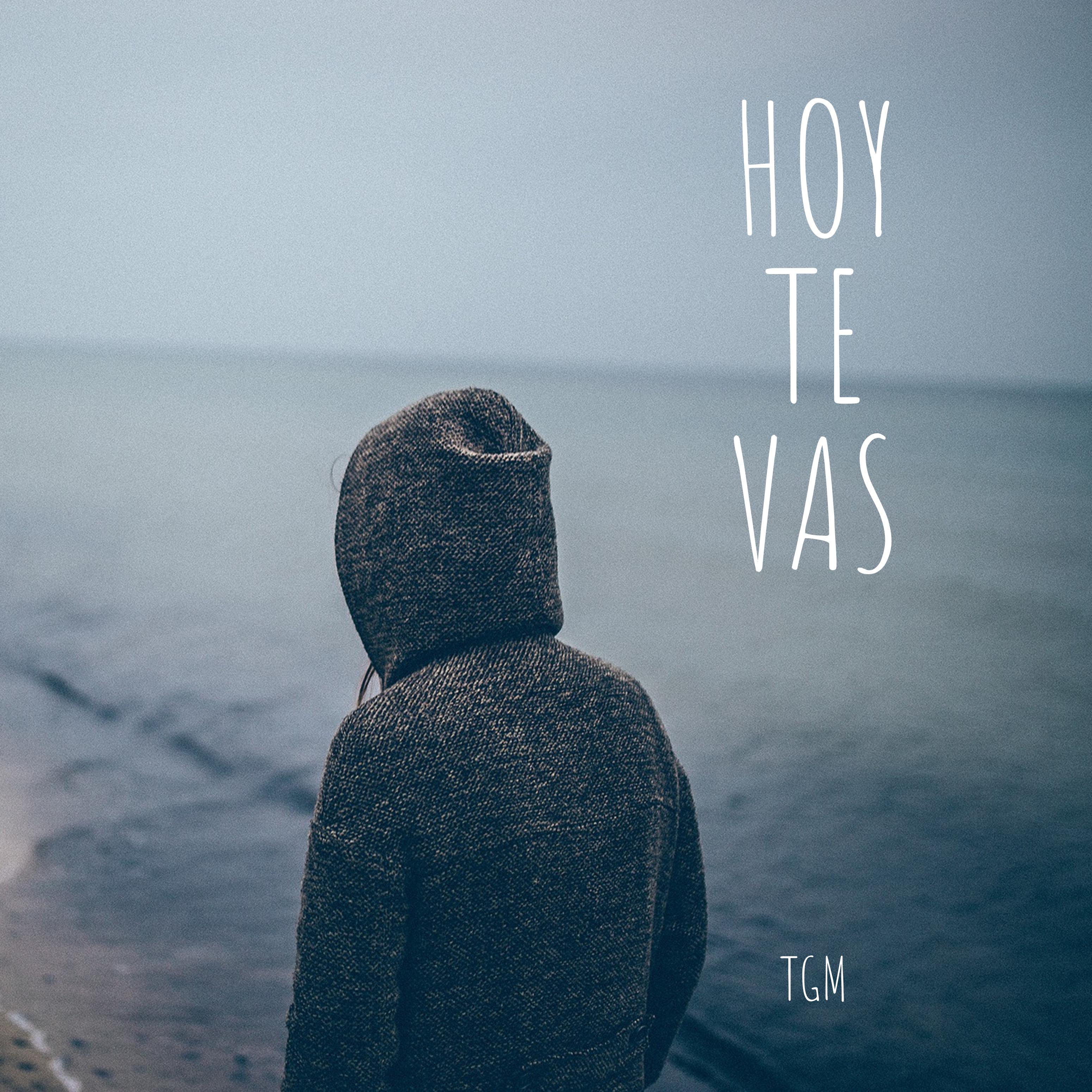 Постер альбома Hoy Te Vas