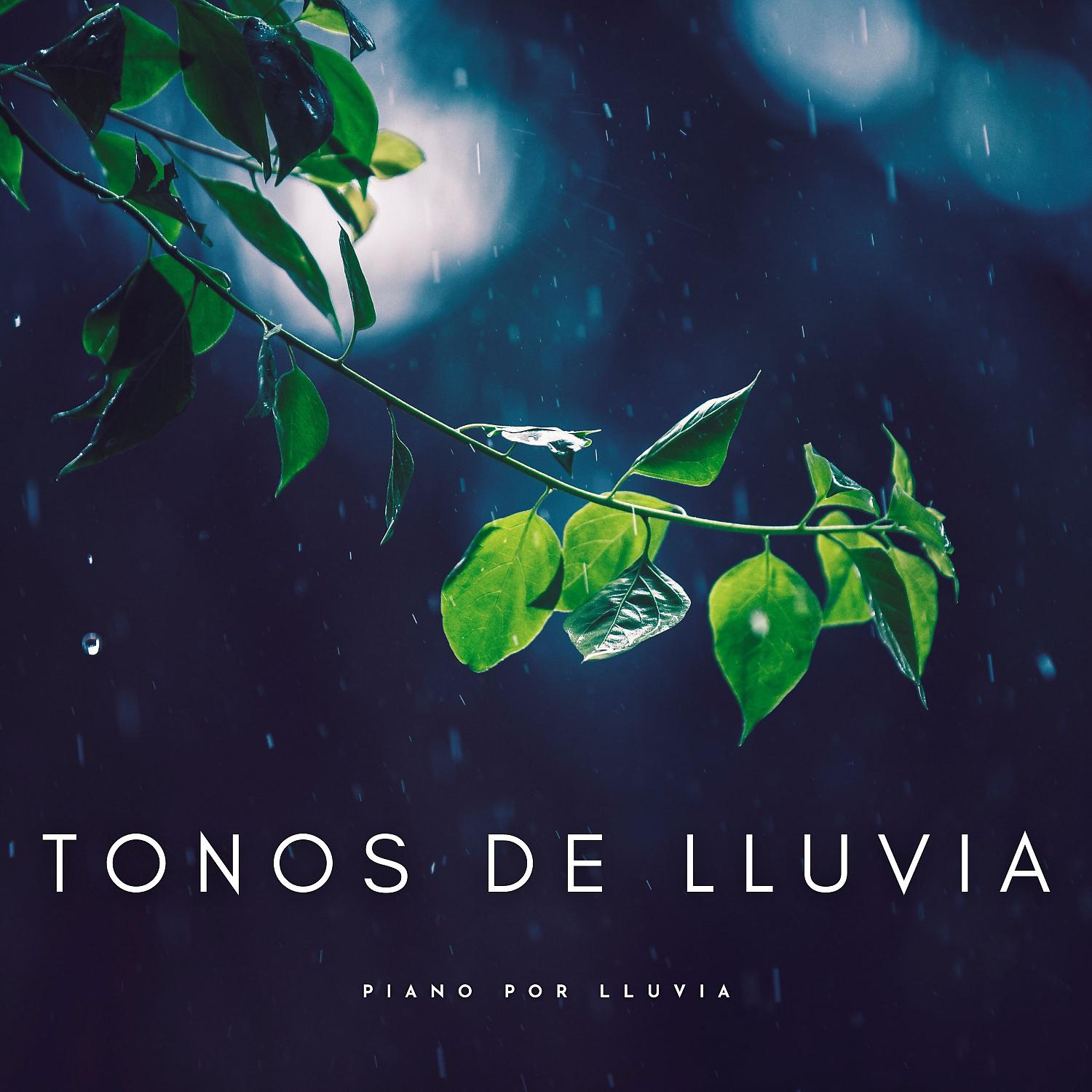 Постер альбома Tonos De Lluvia: Piano Por Lluvia