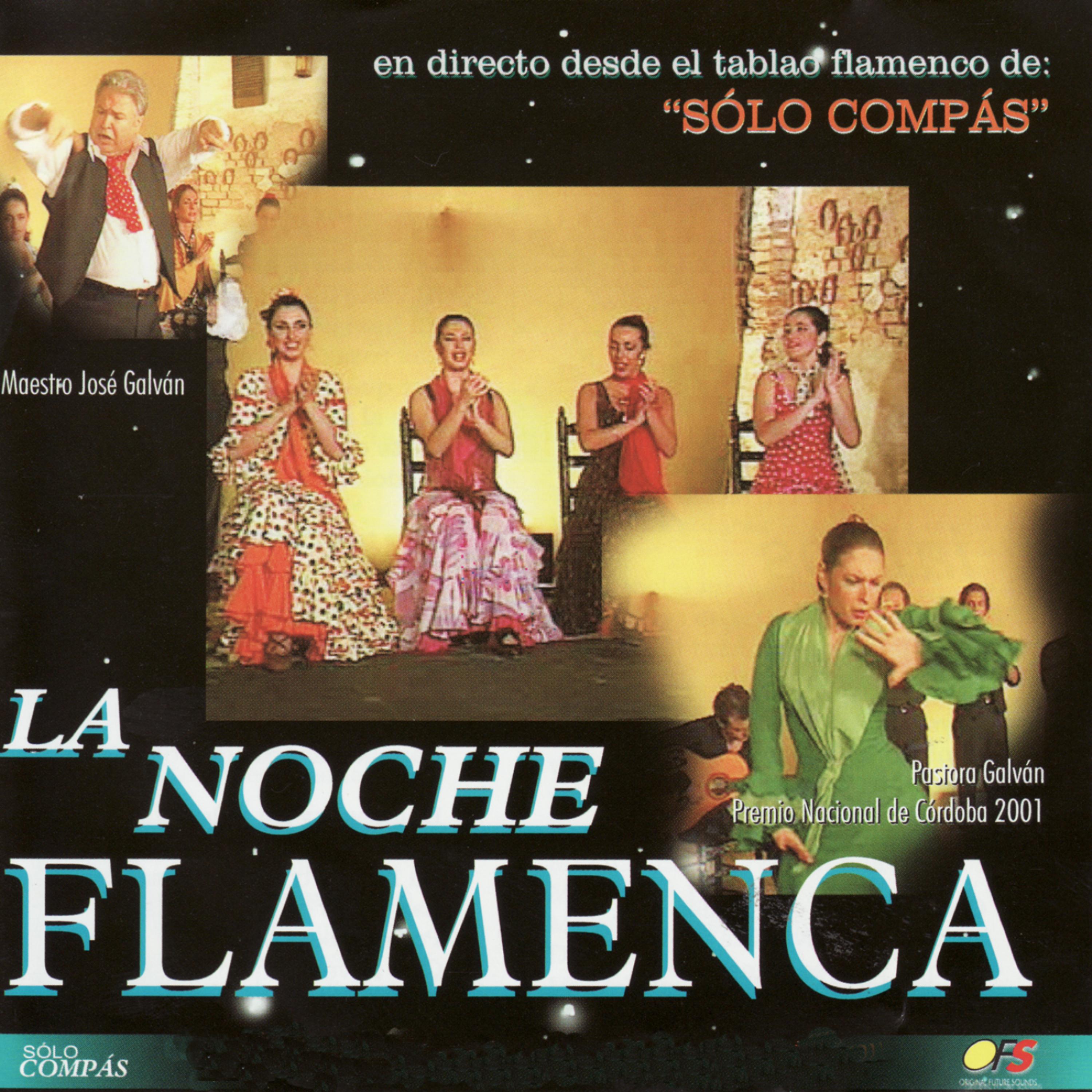 Постер альбома La Noche Flamenca en Directo