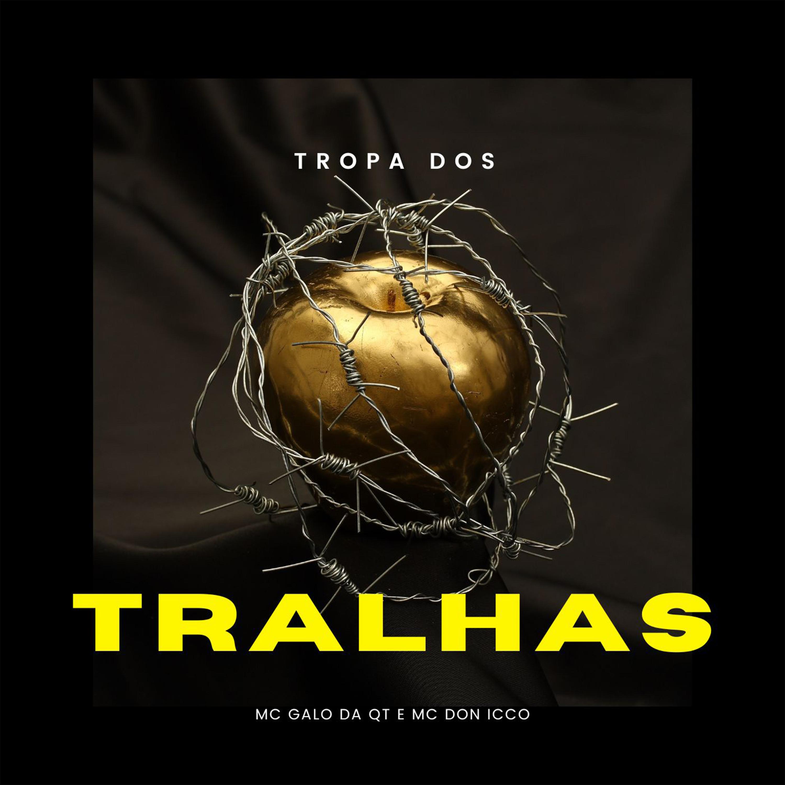 Постер альбома Tropa dos Tralhas