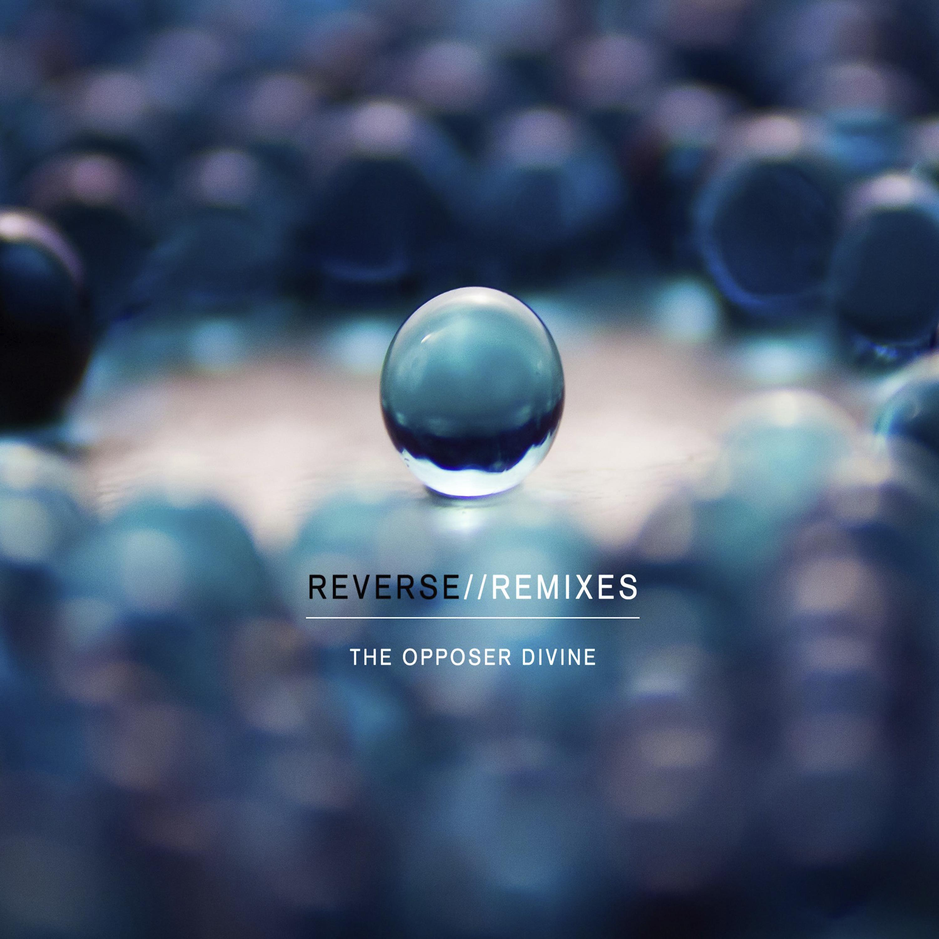 Постер альбома Reverse//Remixes