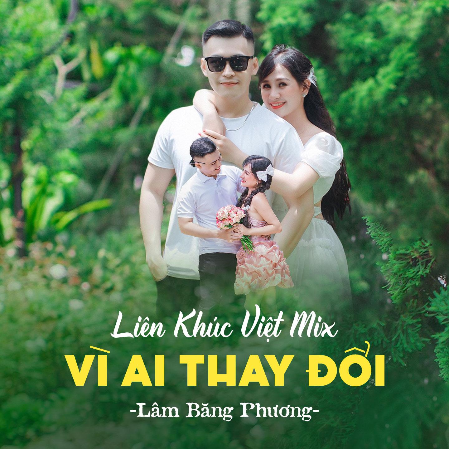 Постер альбома Liên Khúc Việt Mix - Vì Ai Thay Đổi