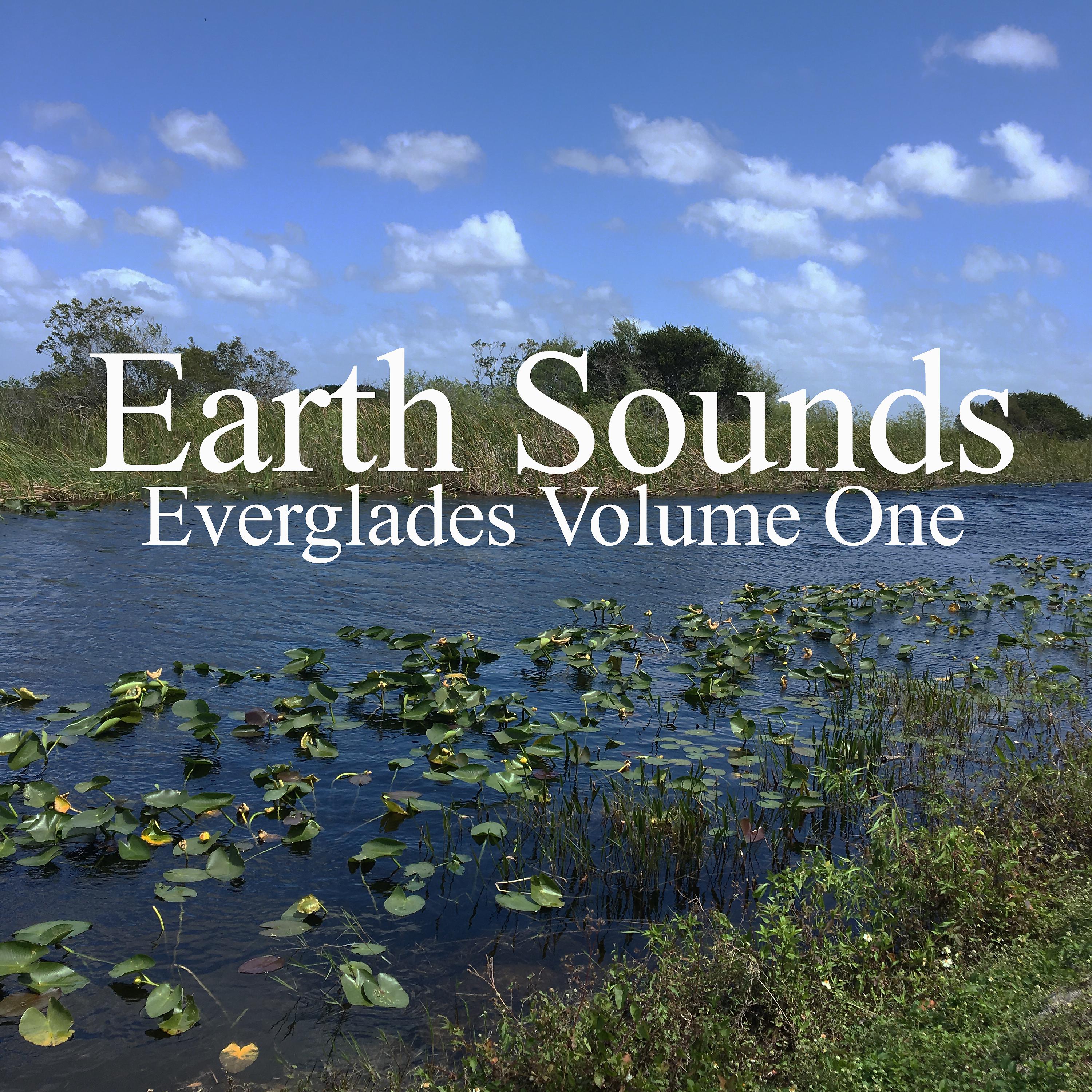 Постер альбома Everglades Volume One
