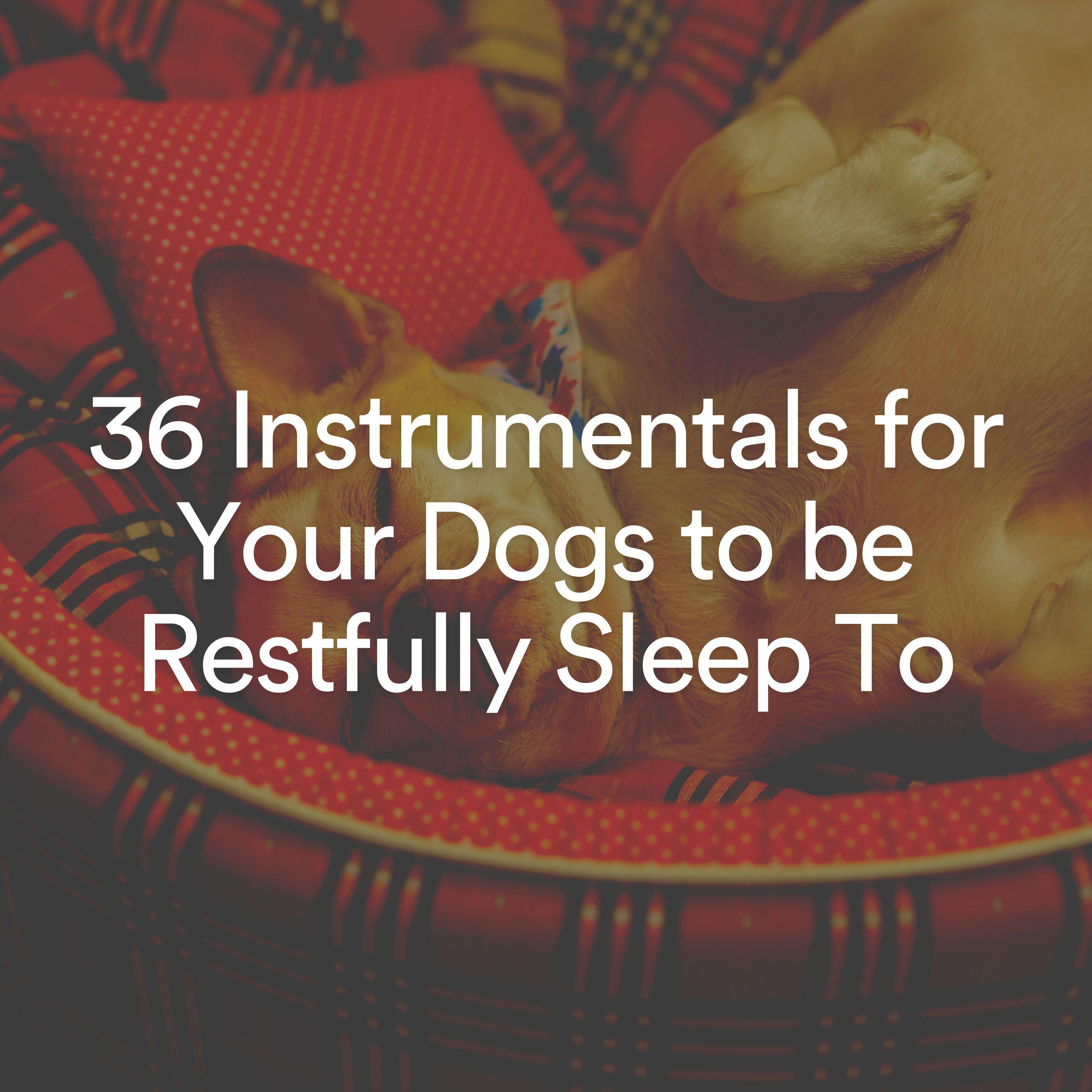 Постер альбома 36 Instrumentals for Your Dogs to be Restfully Sleep To