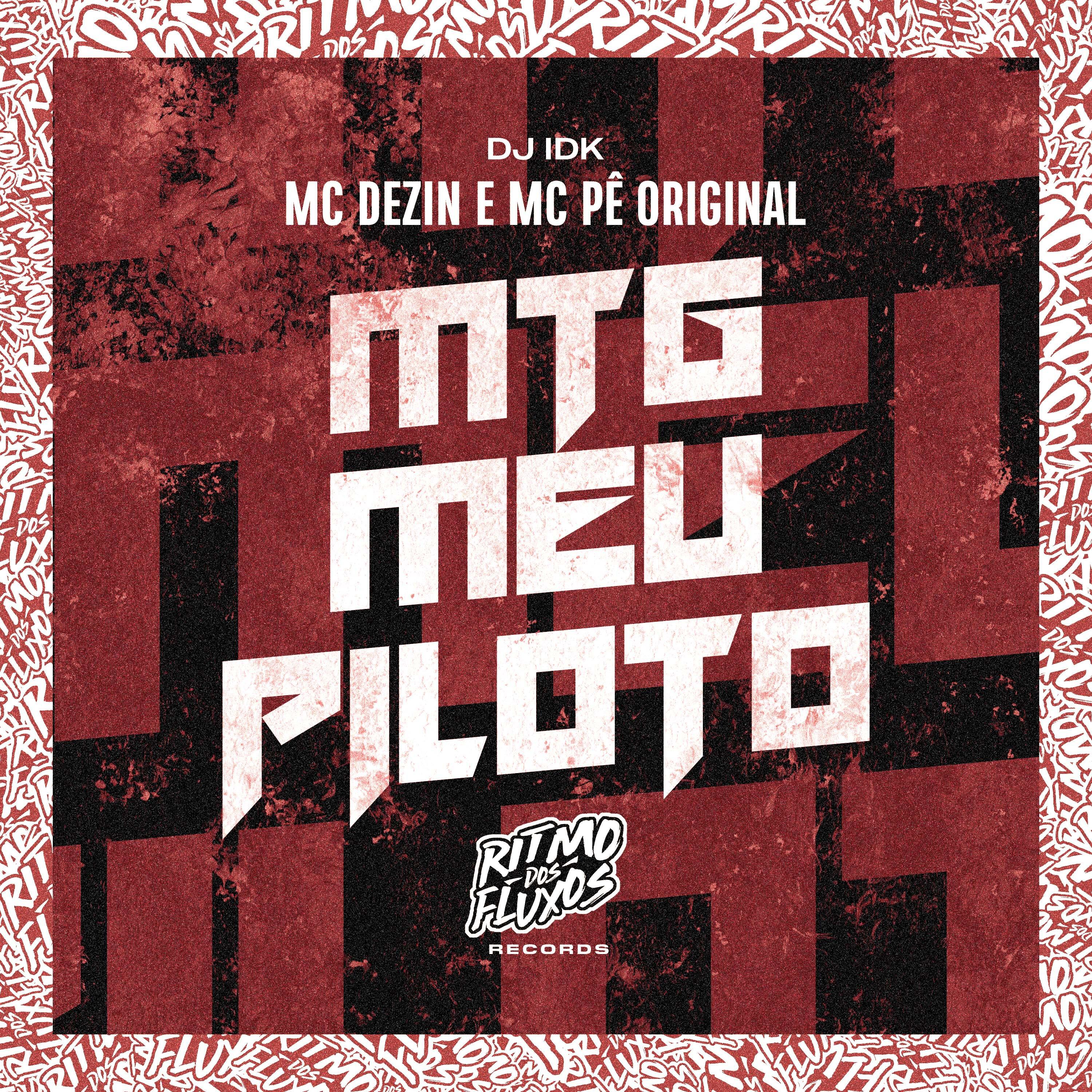 Постер альбома Mtg Meu Piloto