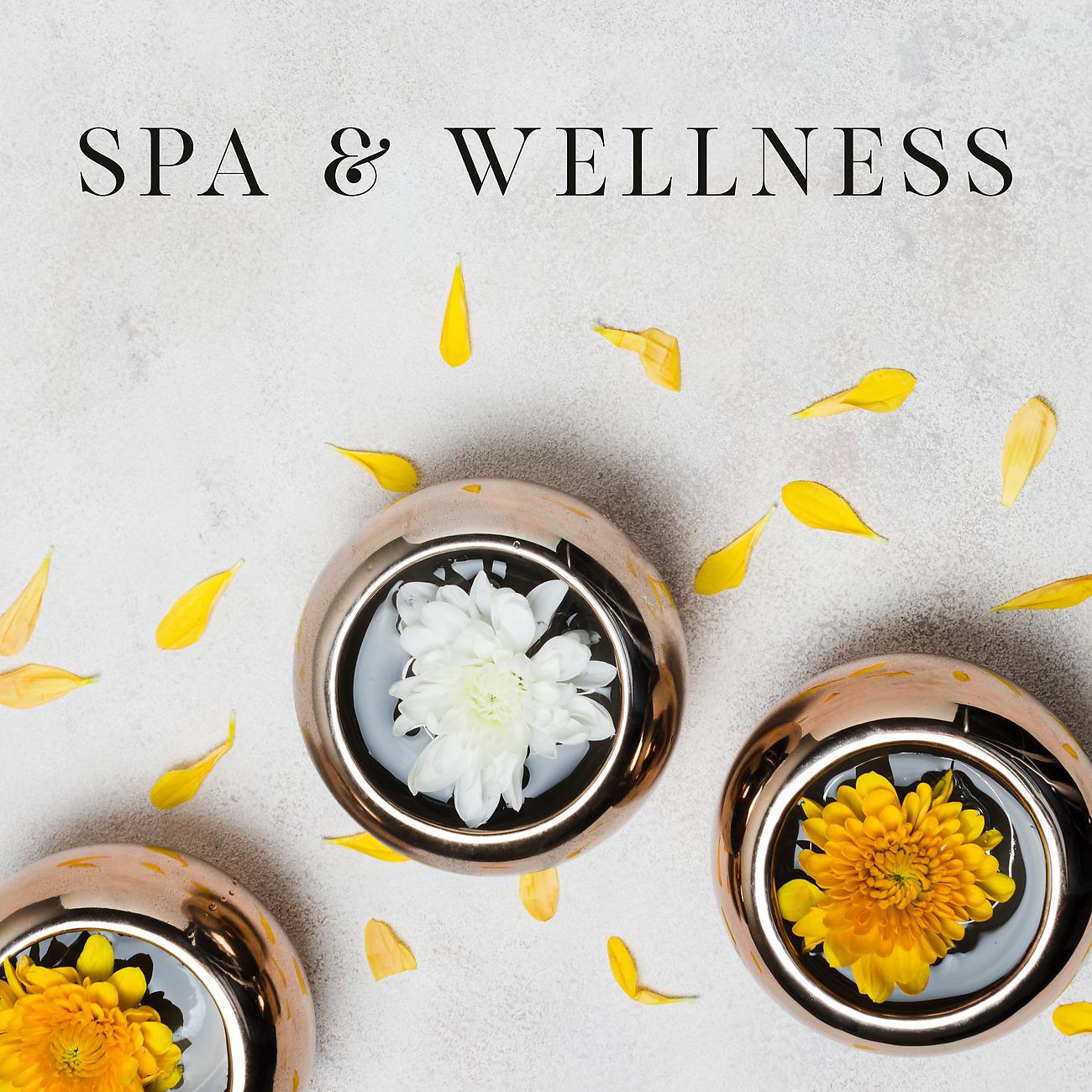 Постер альбома Spa & Wellness - Center of Healing Music, Majestic Spa, Wellness Package