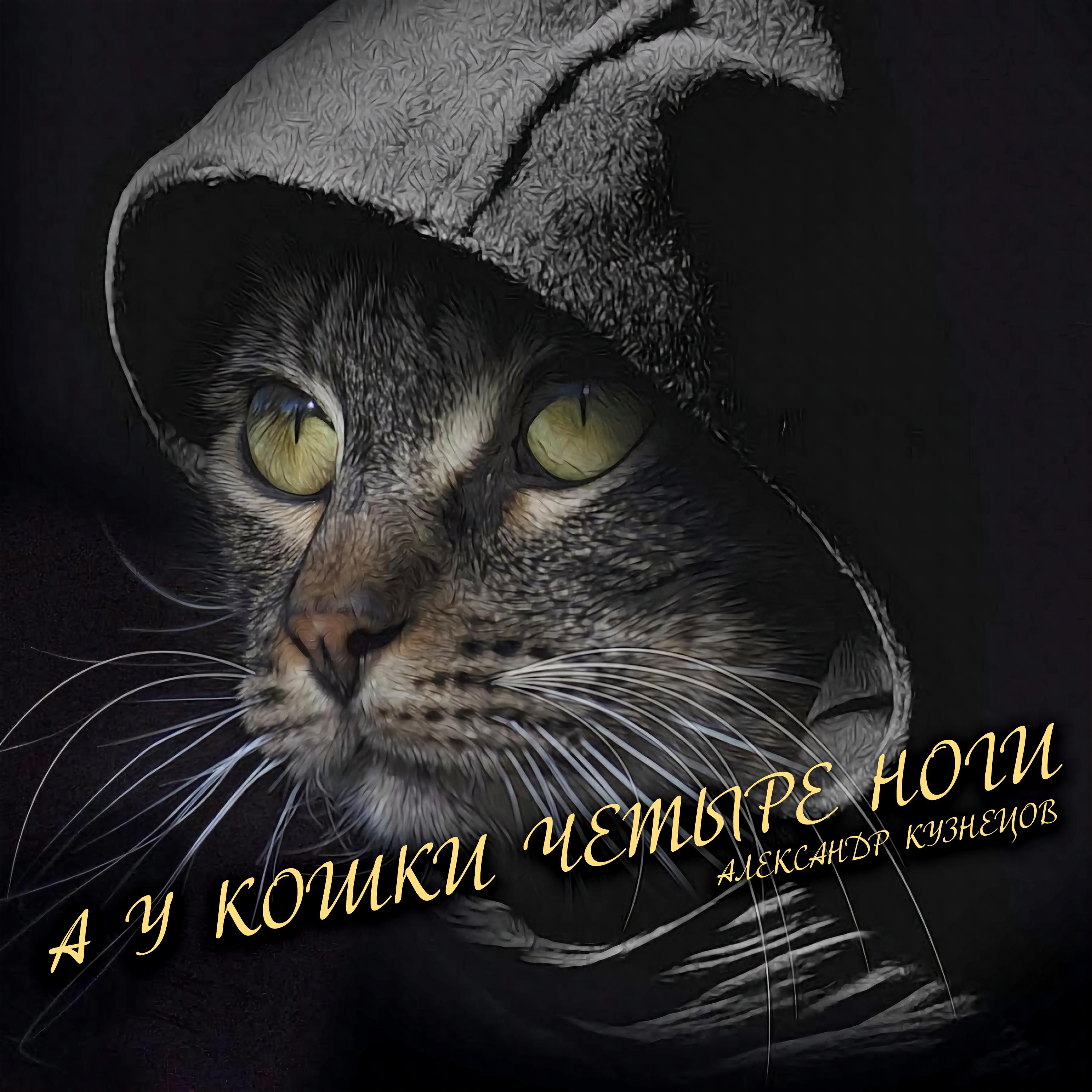 Постер альбома А у кошки четыре ноги