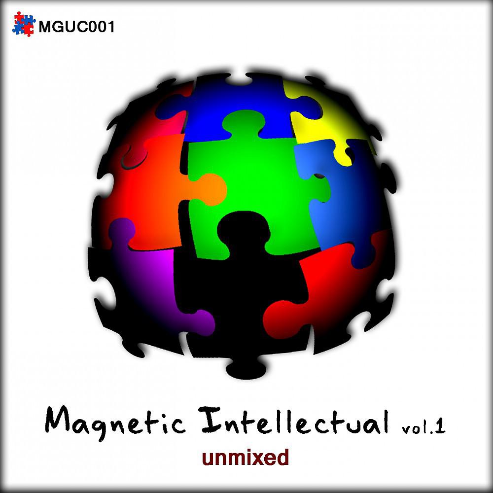 Постер альбома Magnetic Intellectual Vol. 1