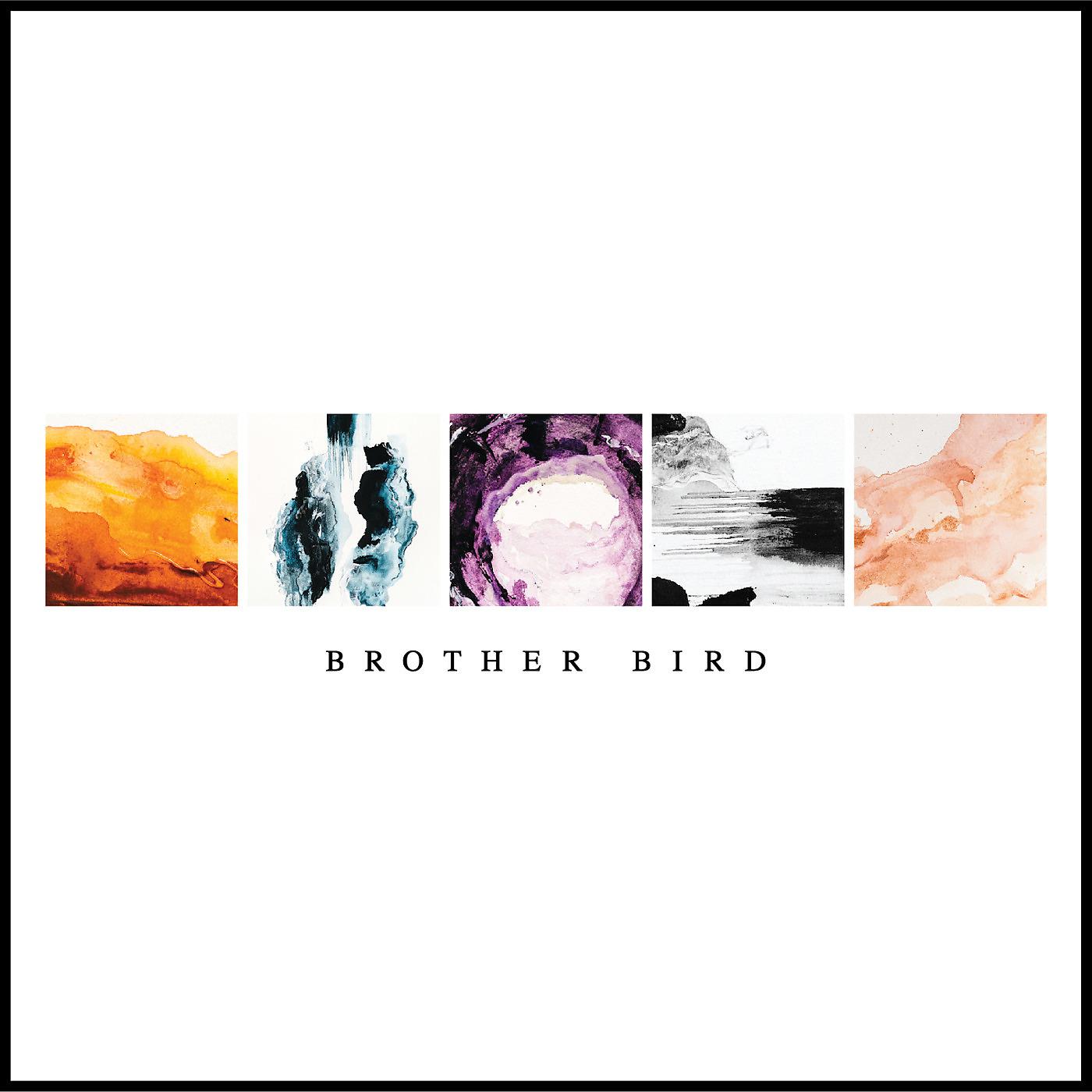 Постер альбома Brother Bird