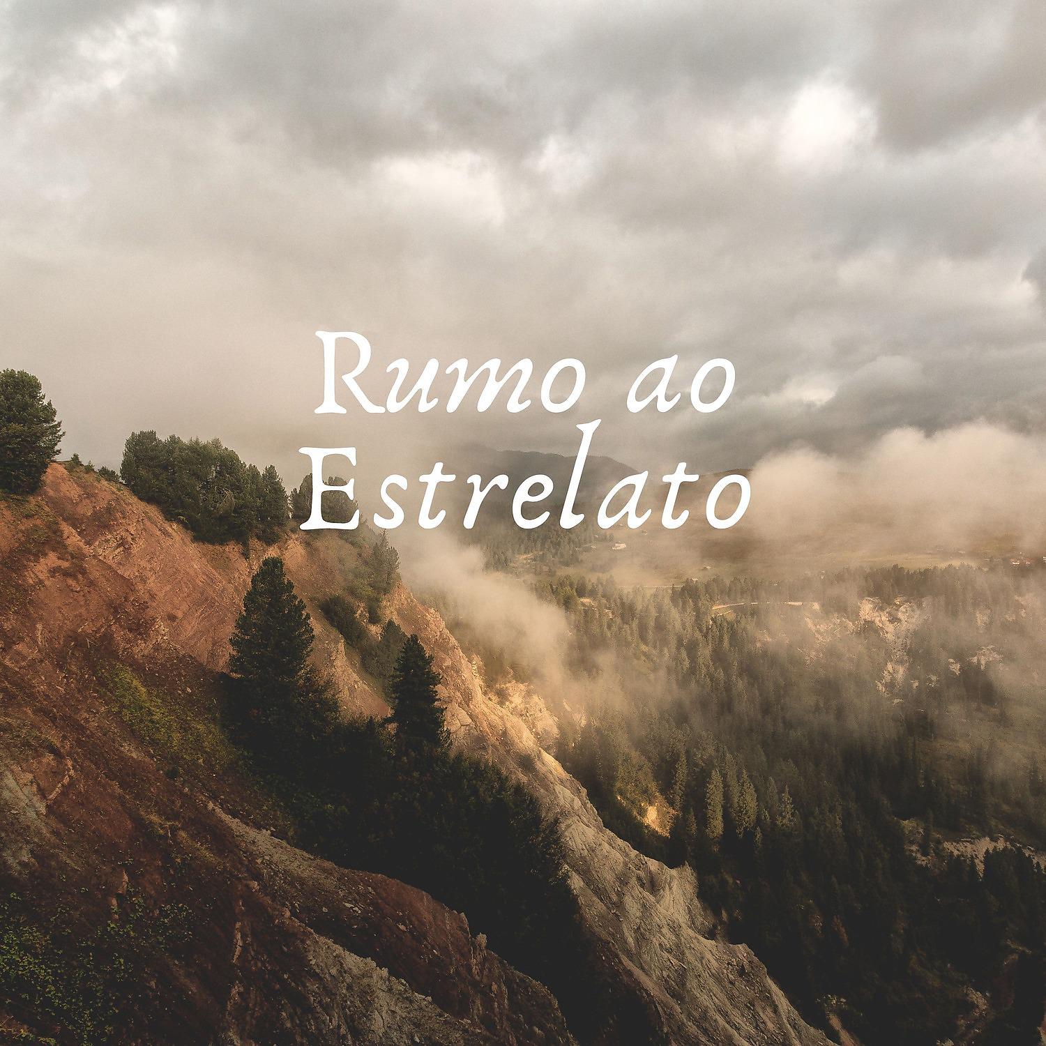 Постер альбома Rumo ao Estrelato