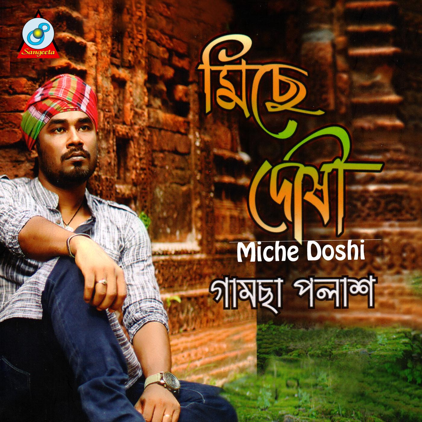 Постер альбома Miche Doshi