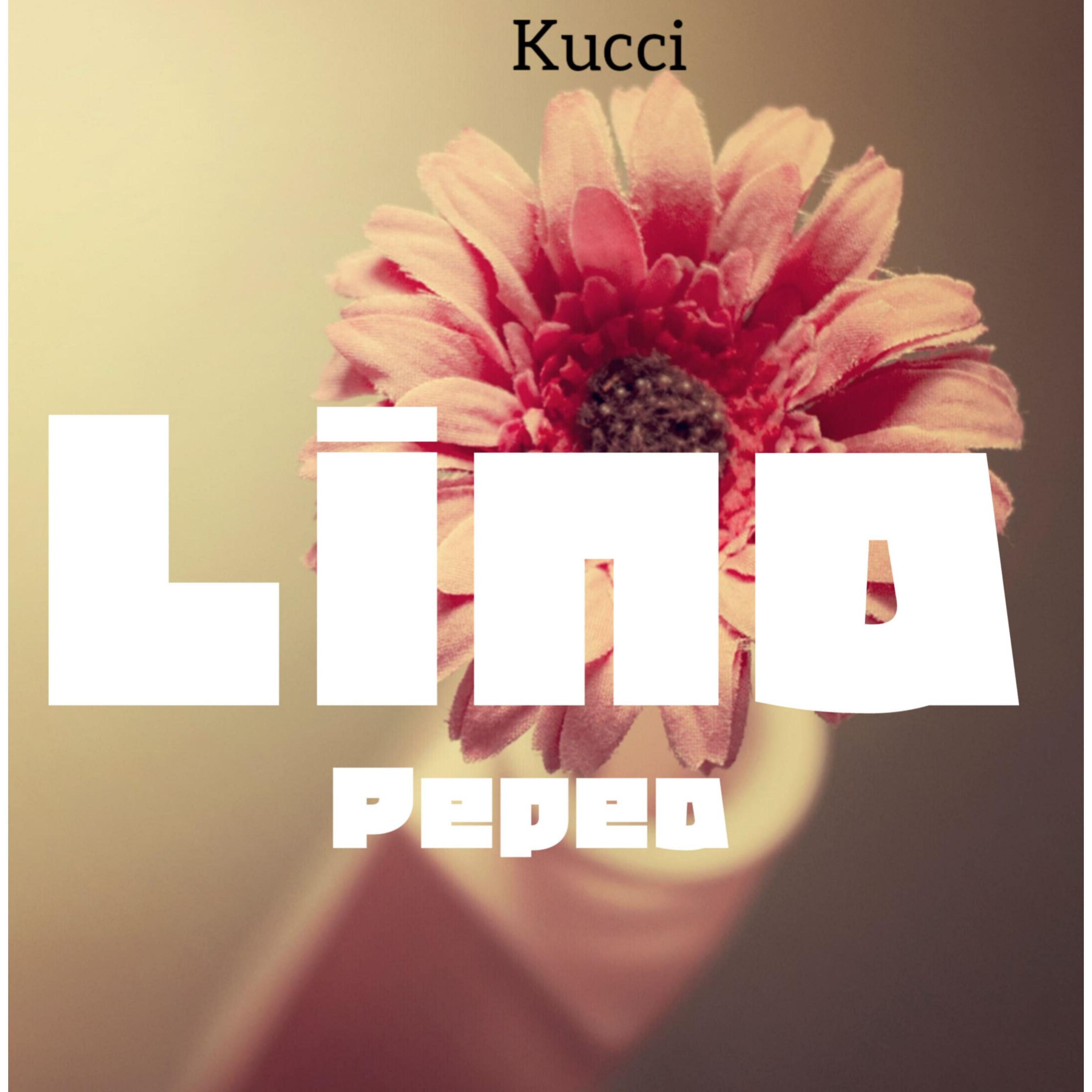 Постер альбома Linapepea