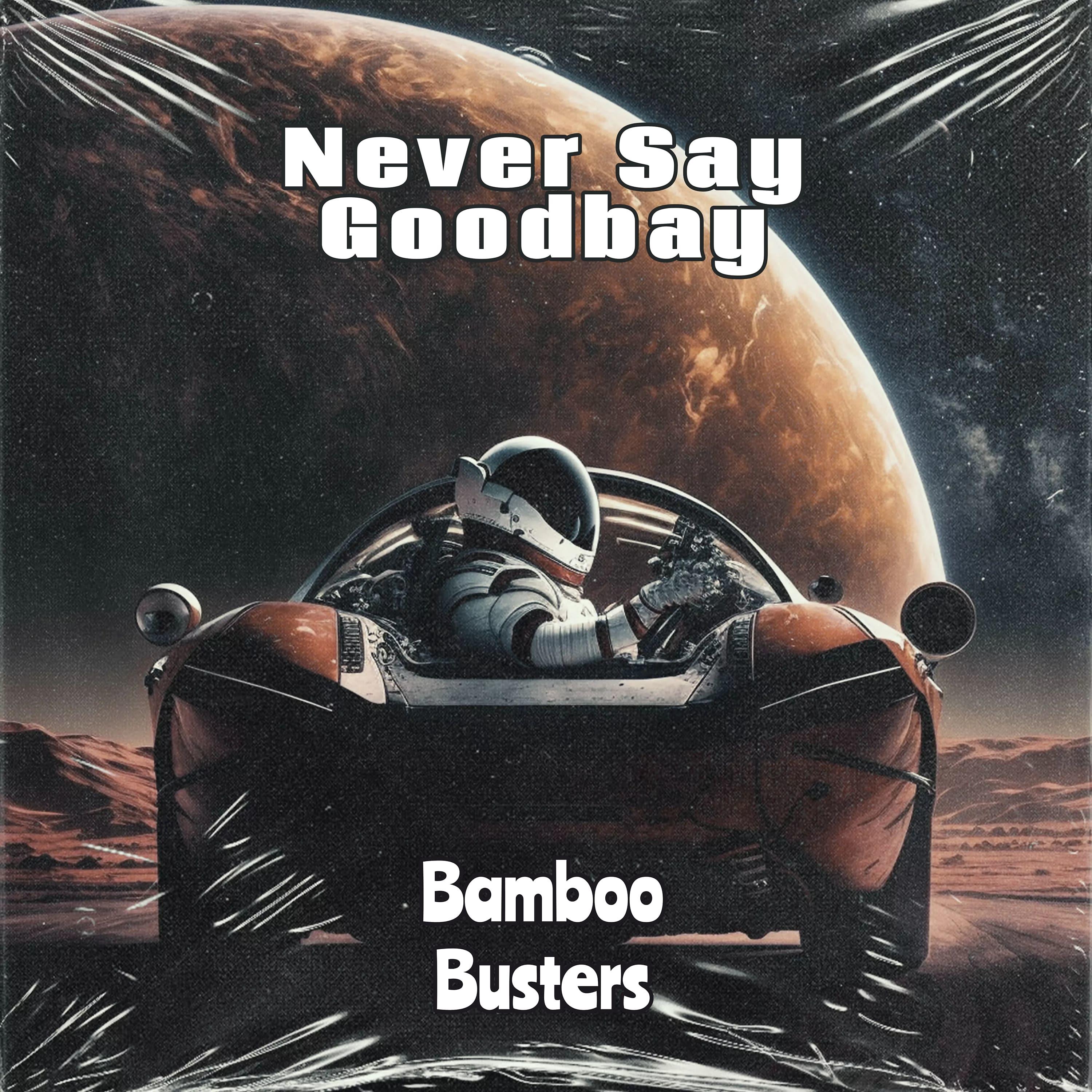 Постер альбома Never Say Goodbay