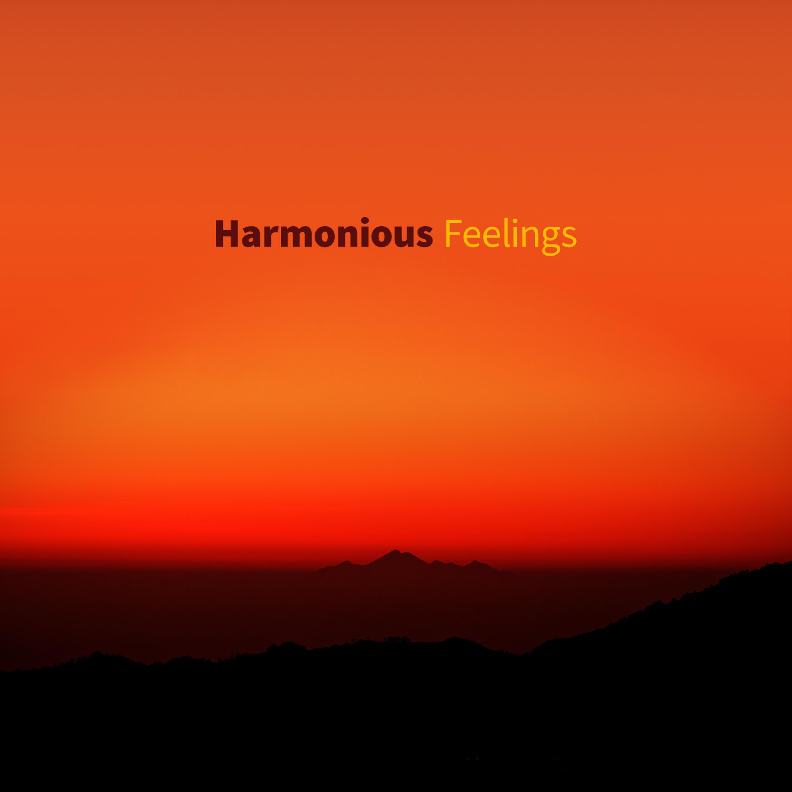 Постер альбома Harmonious Feelings