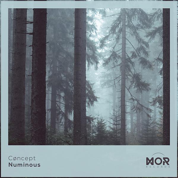 Постер альбома Numinous