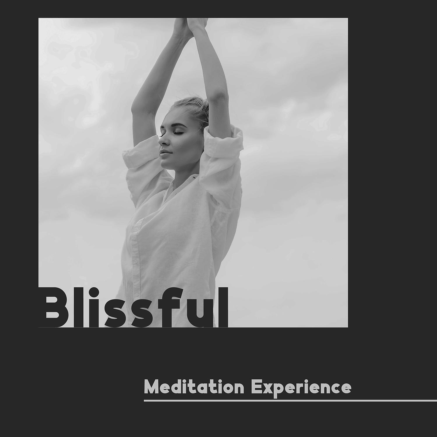 Постер альбома Blissful Meditation Experience – Calm Background Music with Soothing Sounds of Nature to Quiet Your Mind & Help You Find Inner Harmony, Tibetan Singing Bowls for Meditation & Mindfulness