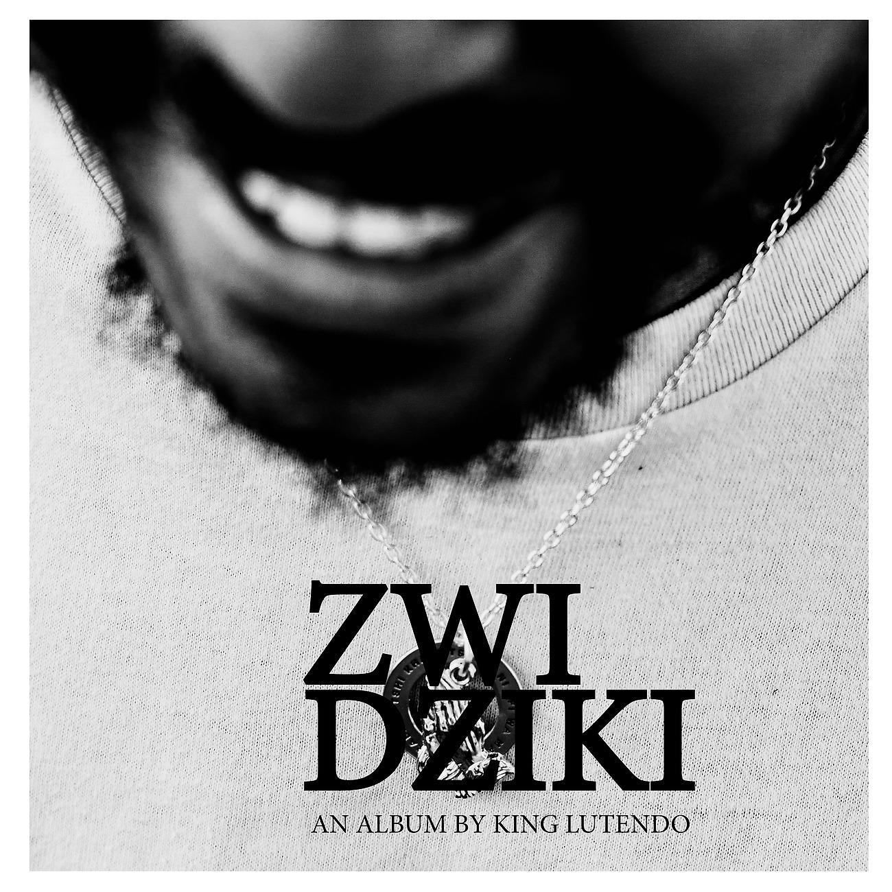 Постер альбома ZWI DZIKI