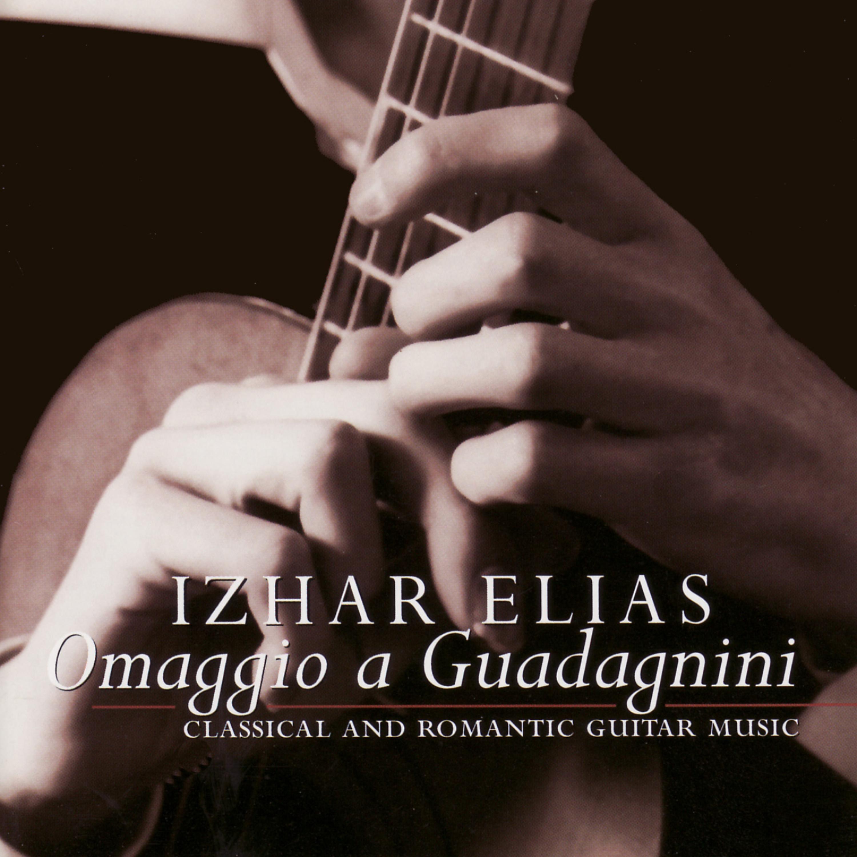 Постер альбома Omaggio a Guadagnini