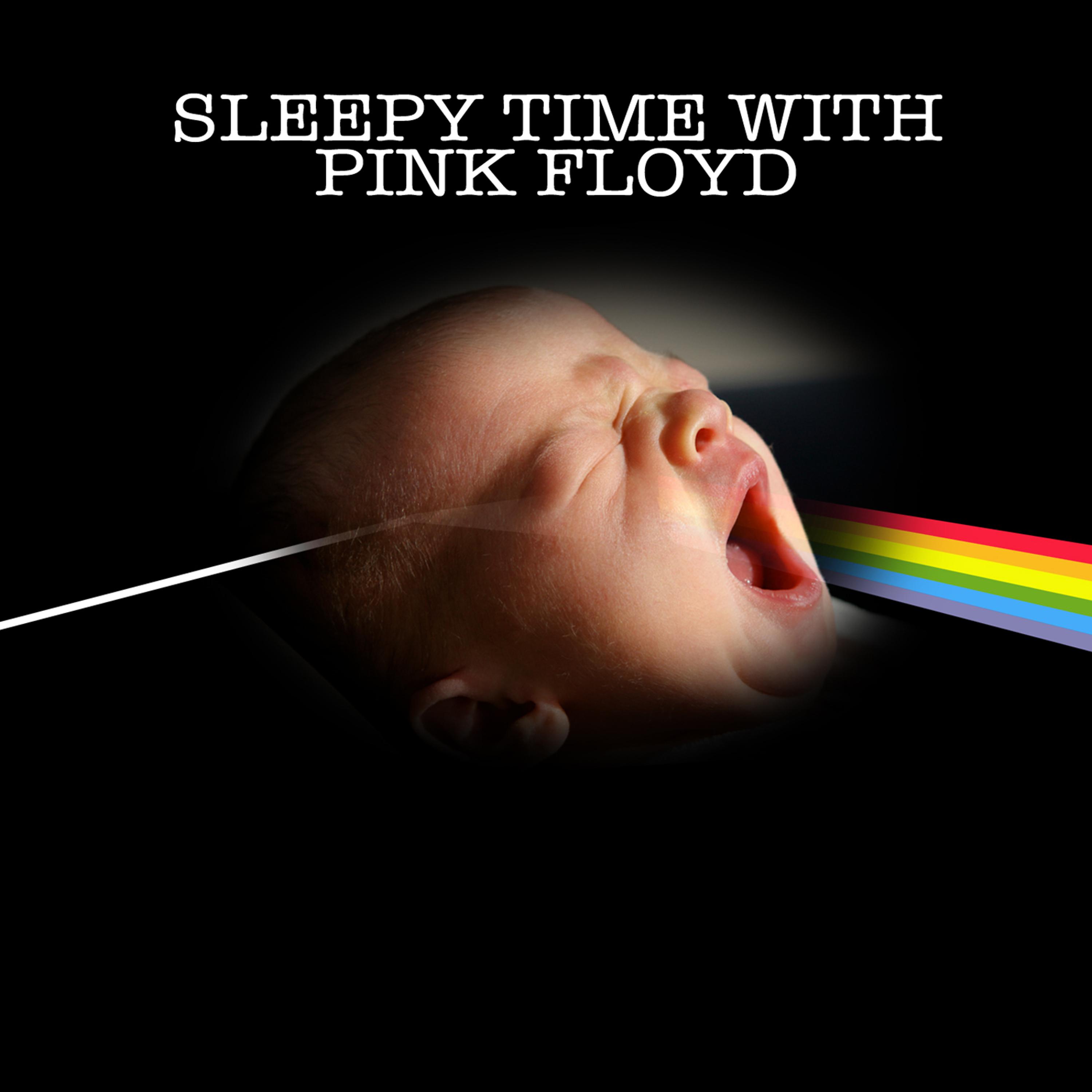 Постер альбома Sleepy Time With Pink Floyd