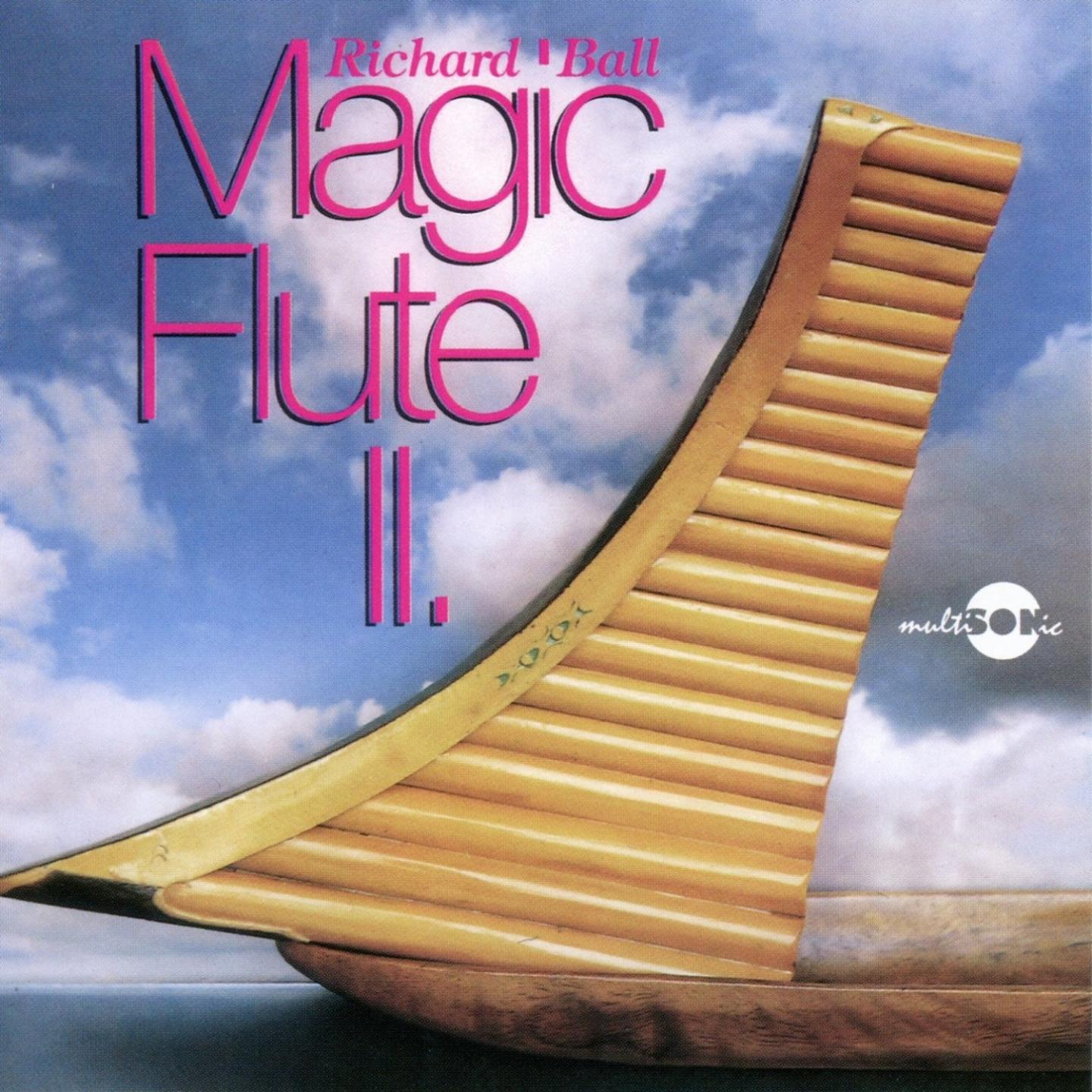 Постер альбома Magic Flute, Vol. 2