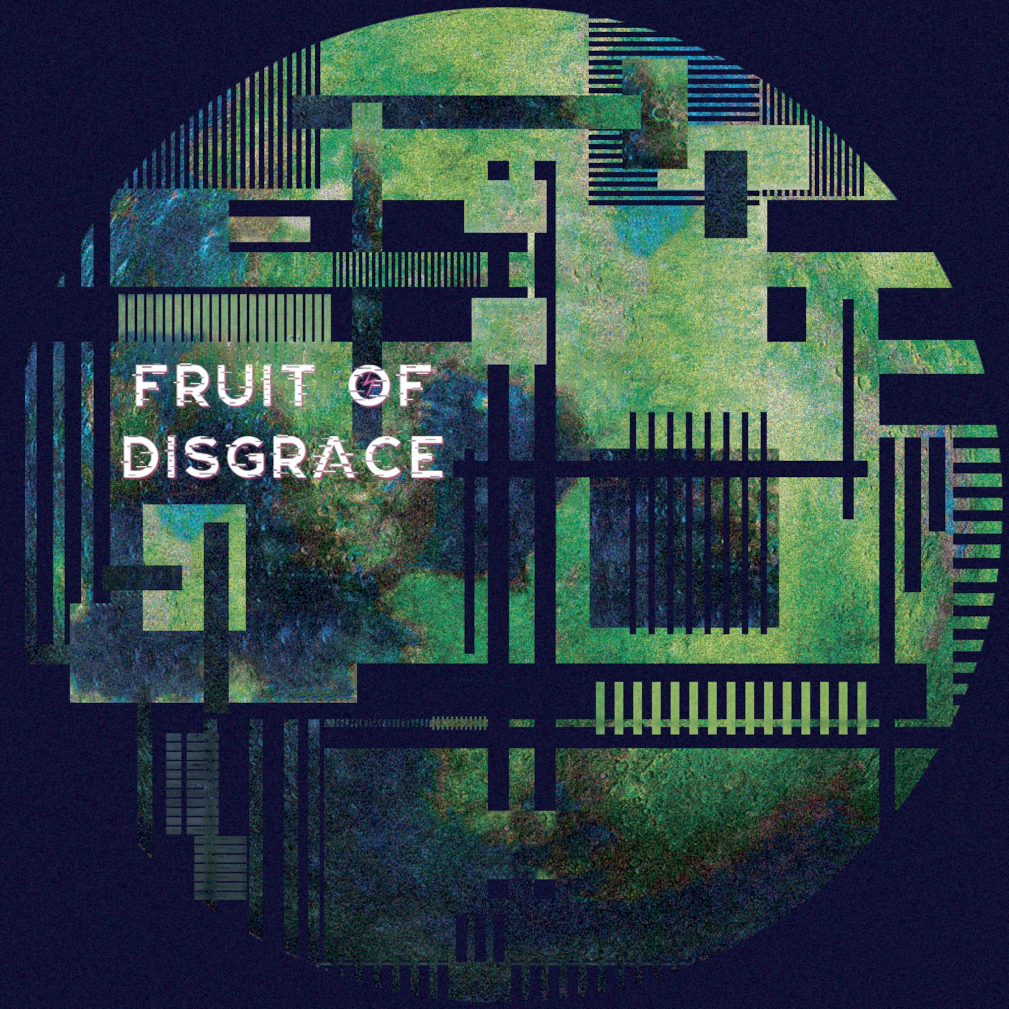Постер альбома Fruit Of Disgrace