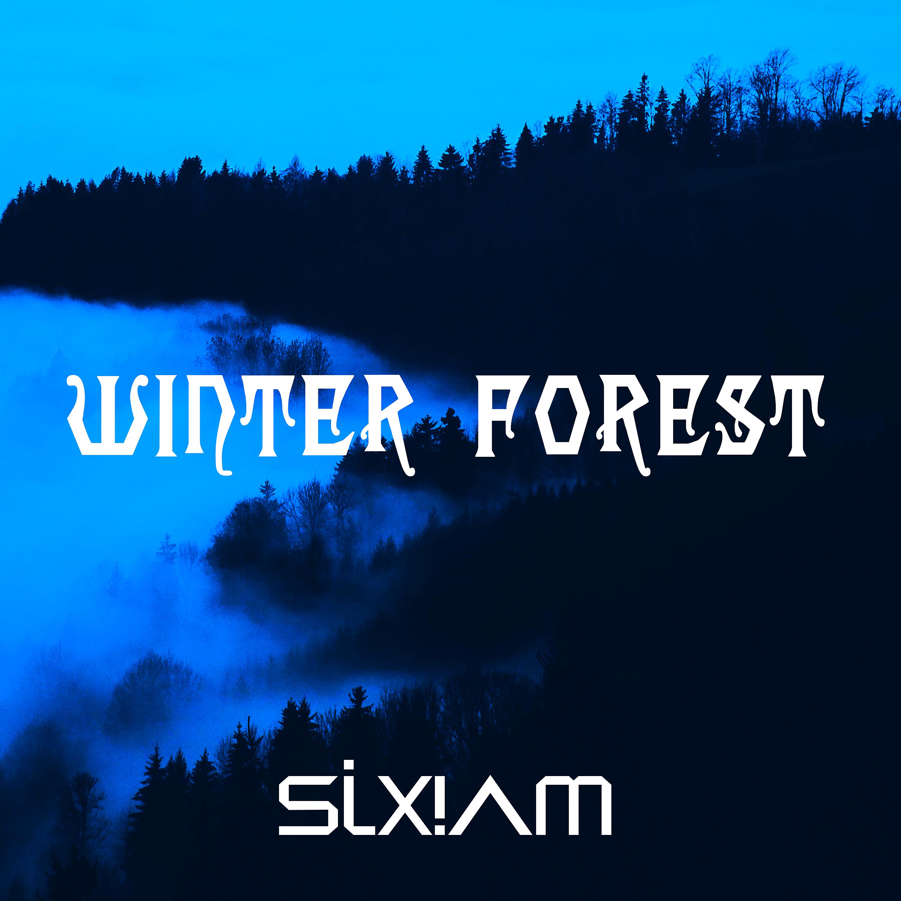Постер альбома Winter Forest