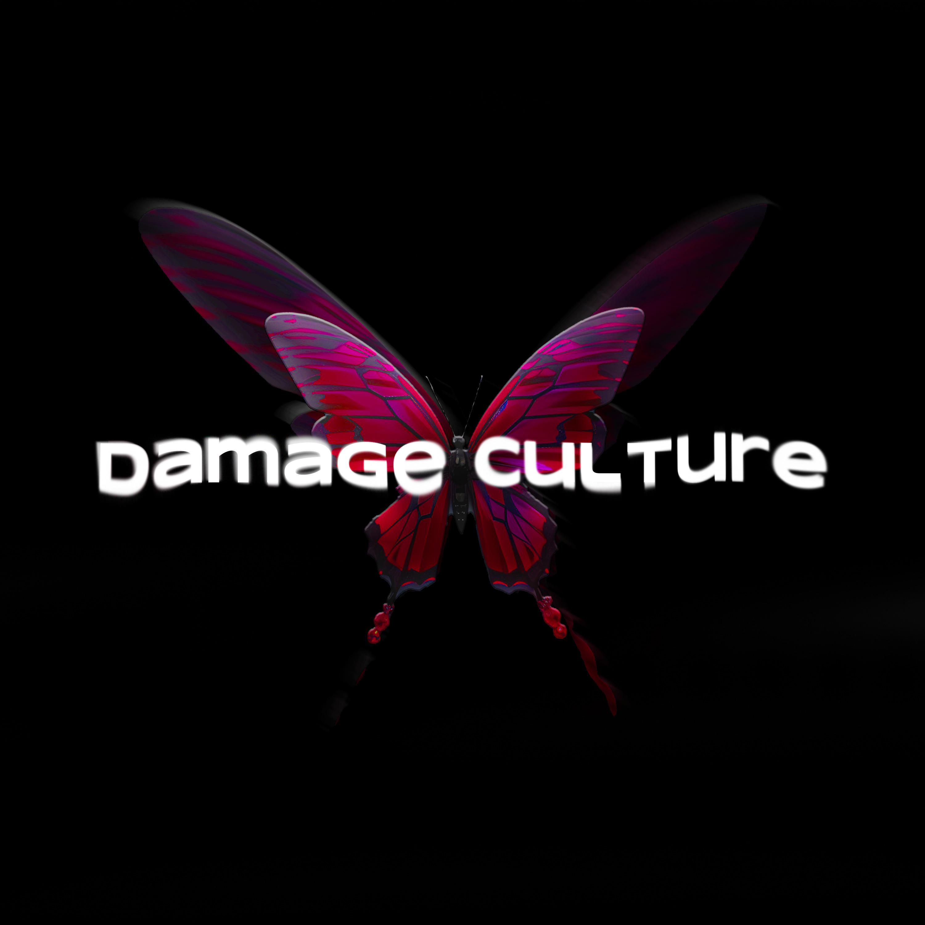 Постер альбома Damage Culture