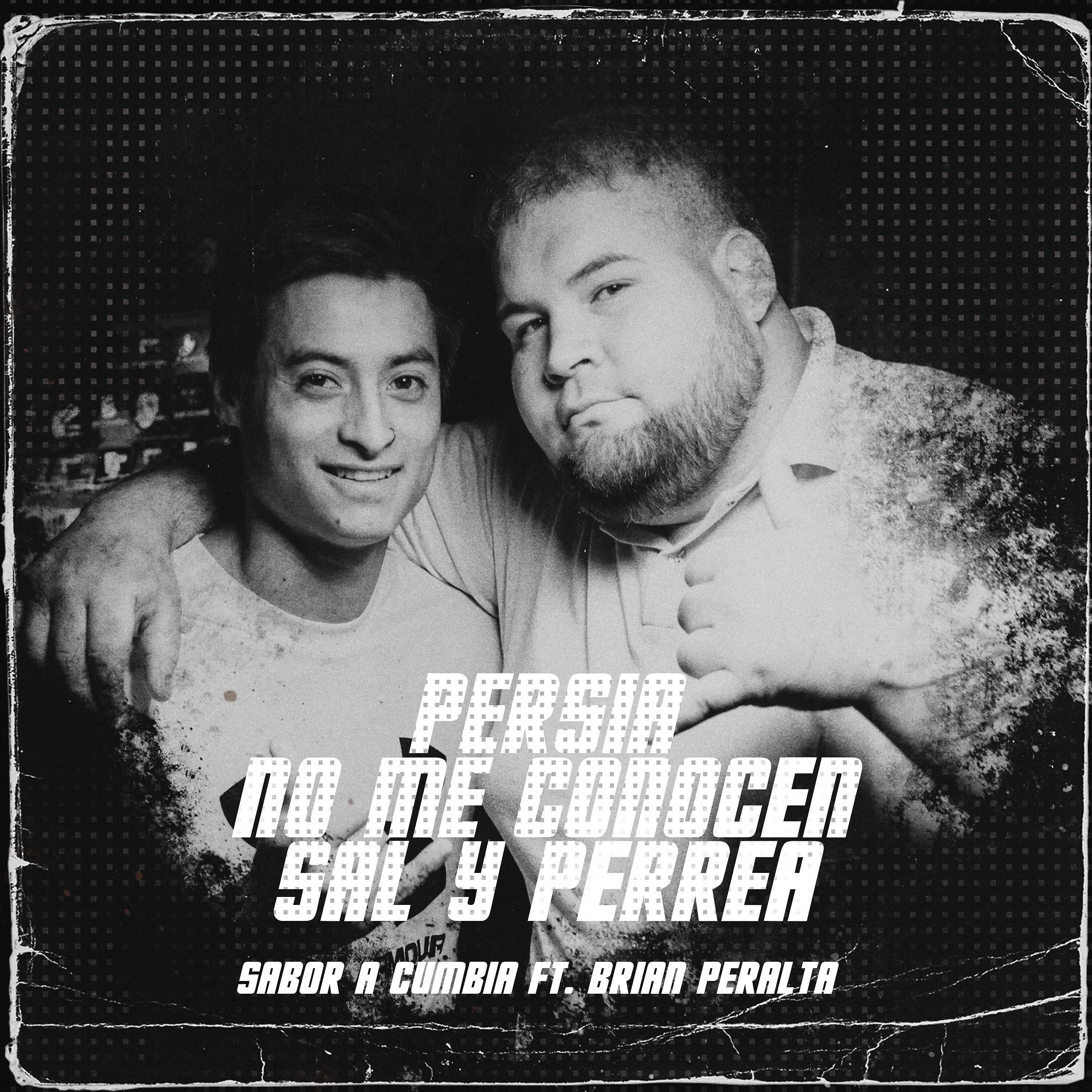 Постер альбома Persia / No Me Conocen / Sal y Perrea