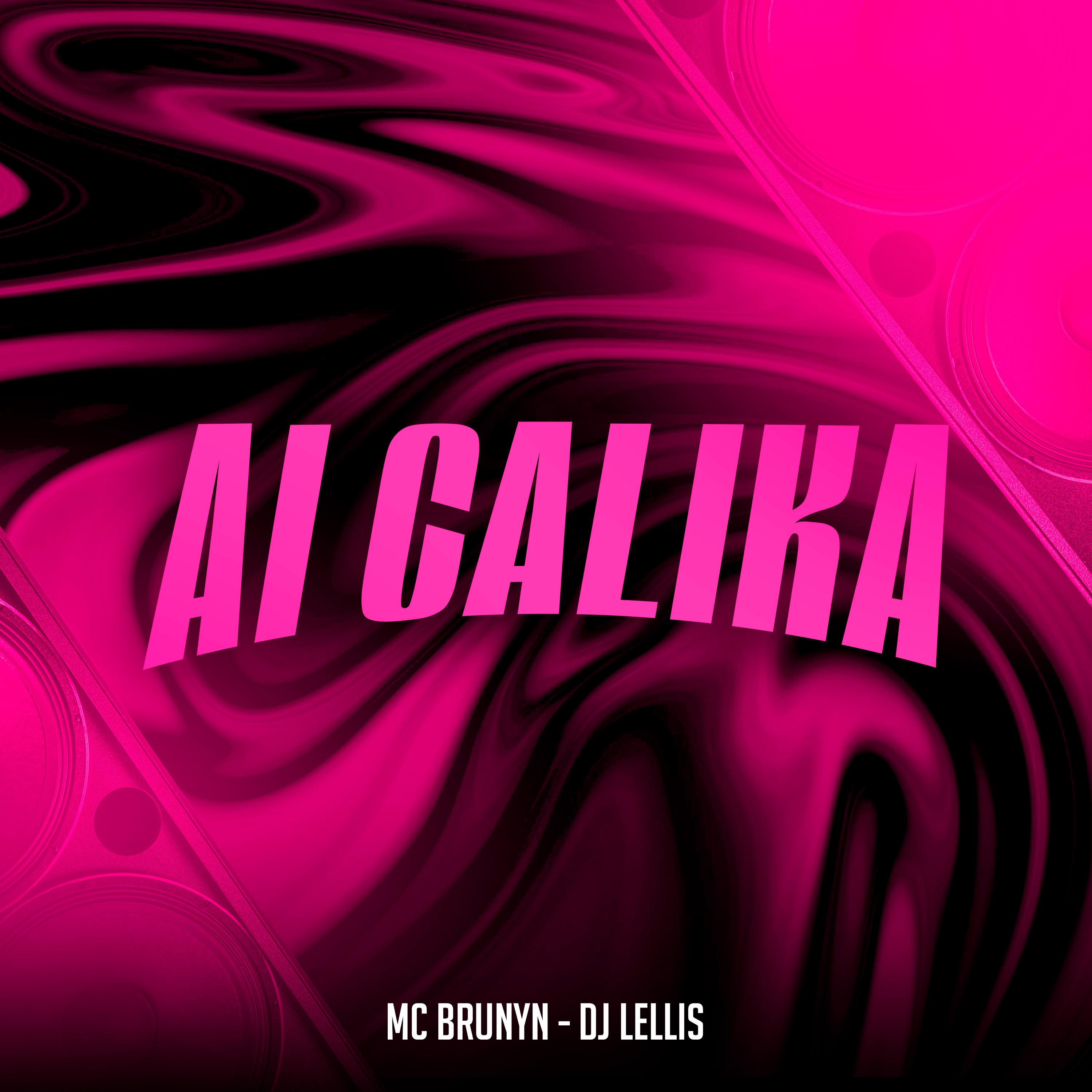 Постер альбома Ai Calika