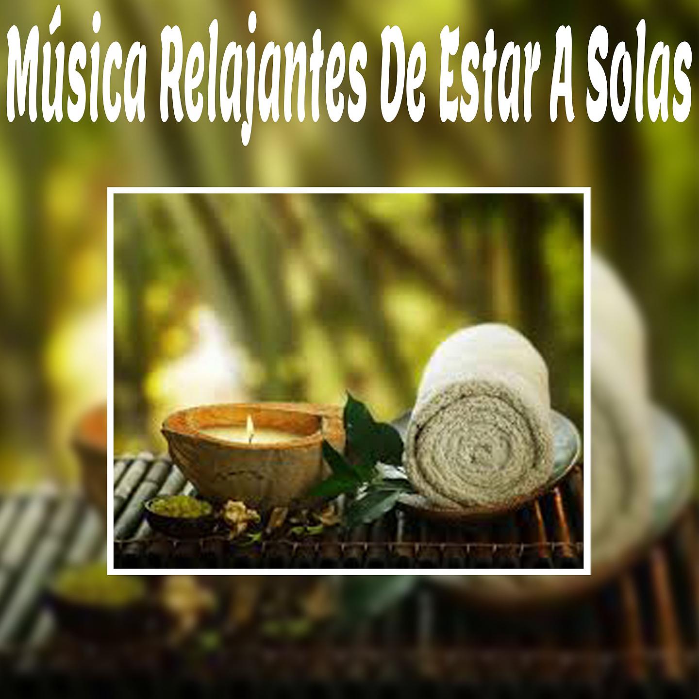Постер альбома Música Relajantes de Estar a Solas
