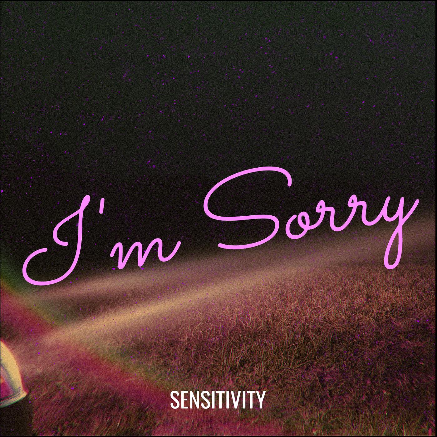 Постер альбома Im Sorry