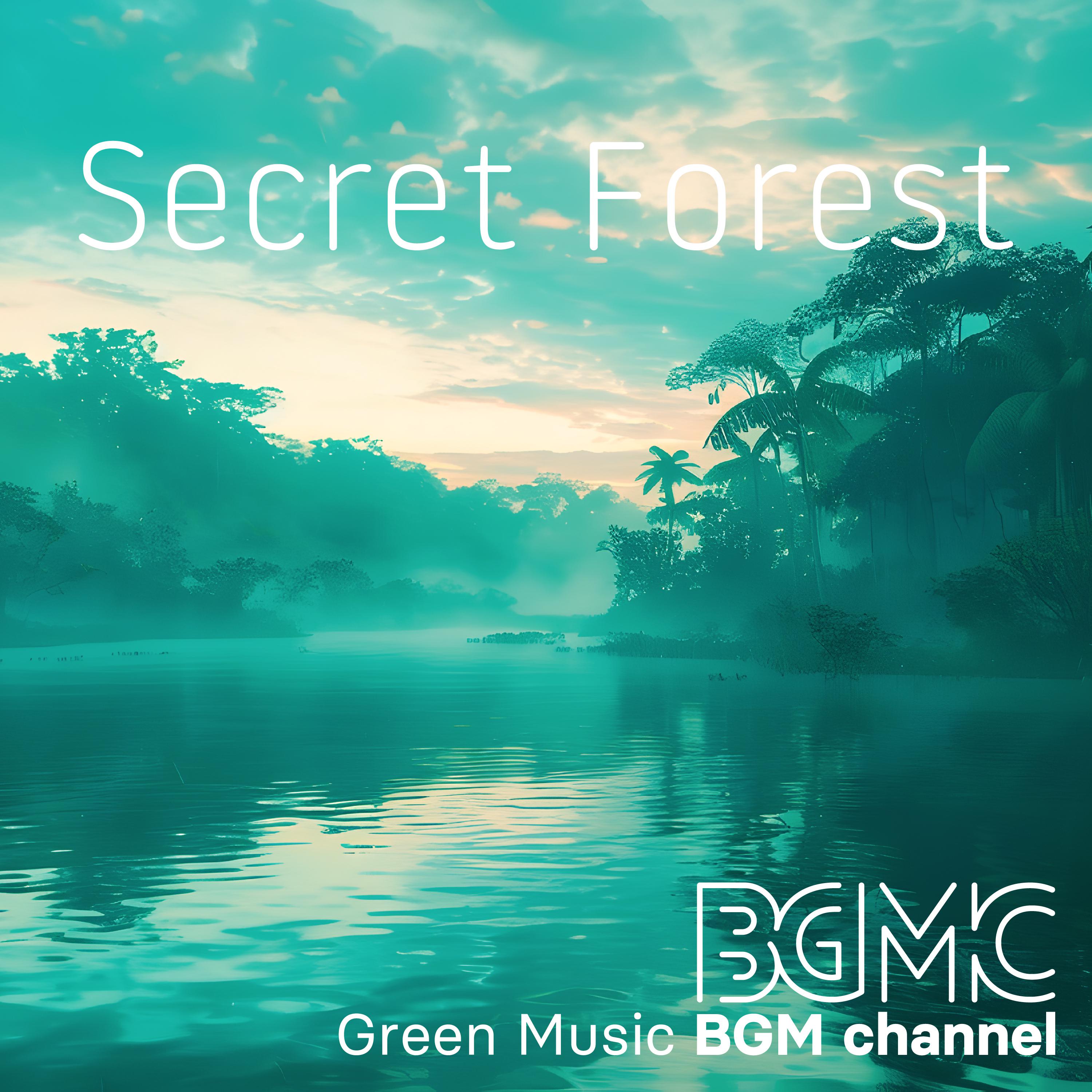 Постер альбома Secret Forest