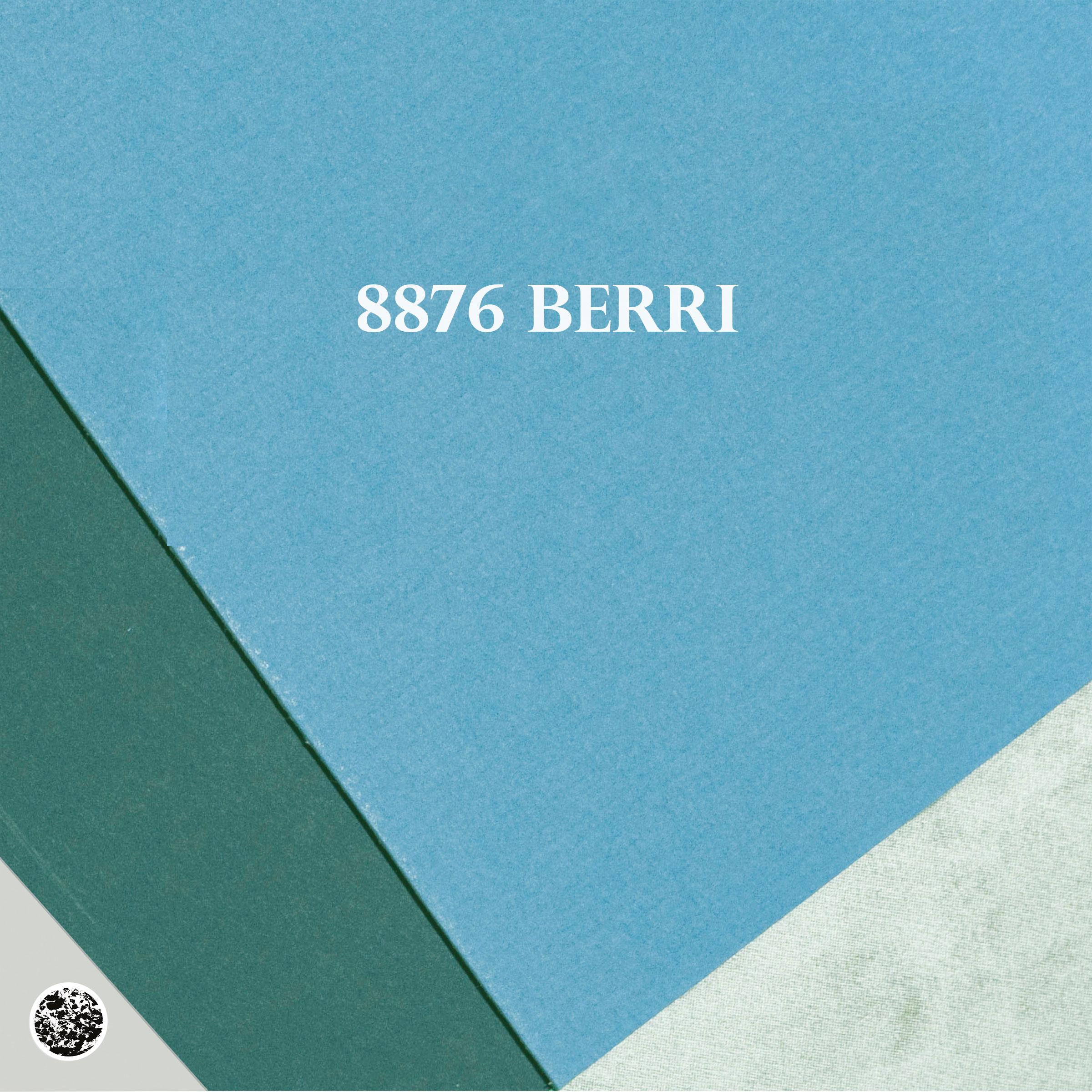 Постер альбома 8876 Berri