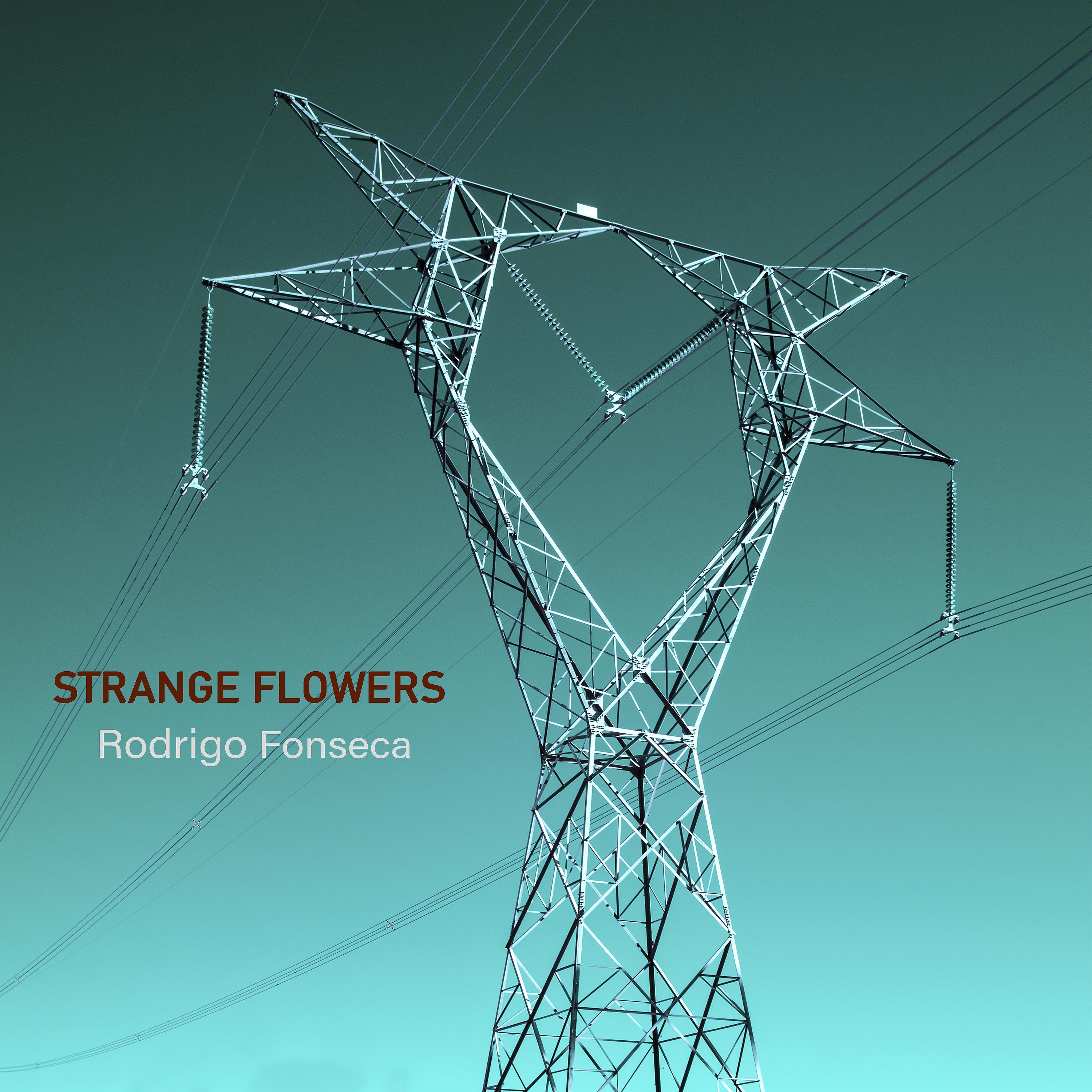Постер альбома Strange Flowers
