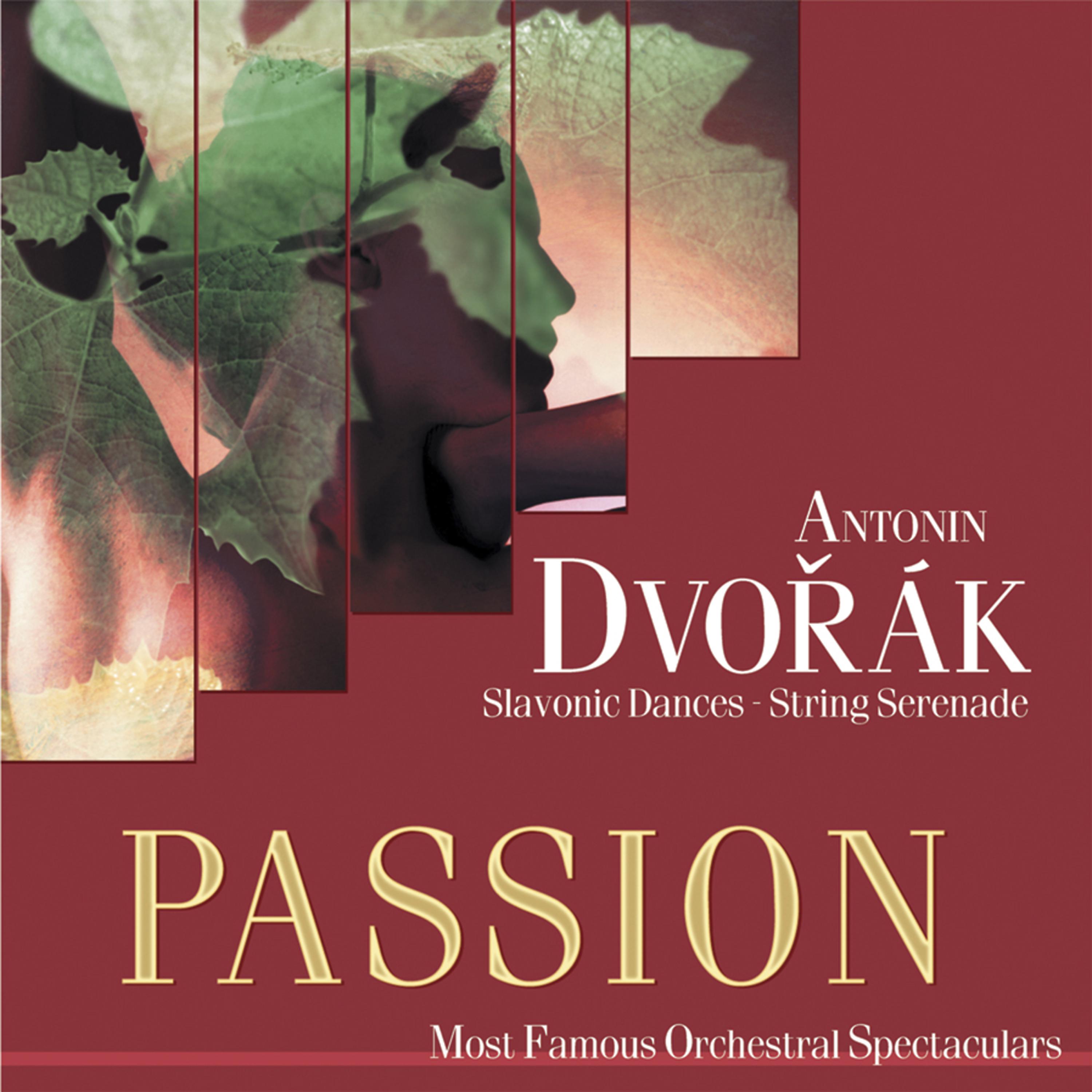 Постер альбома Passion: Most Famous Orchestal Spectaculars - Dvorak: Slavonic Dances - String Serenade