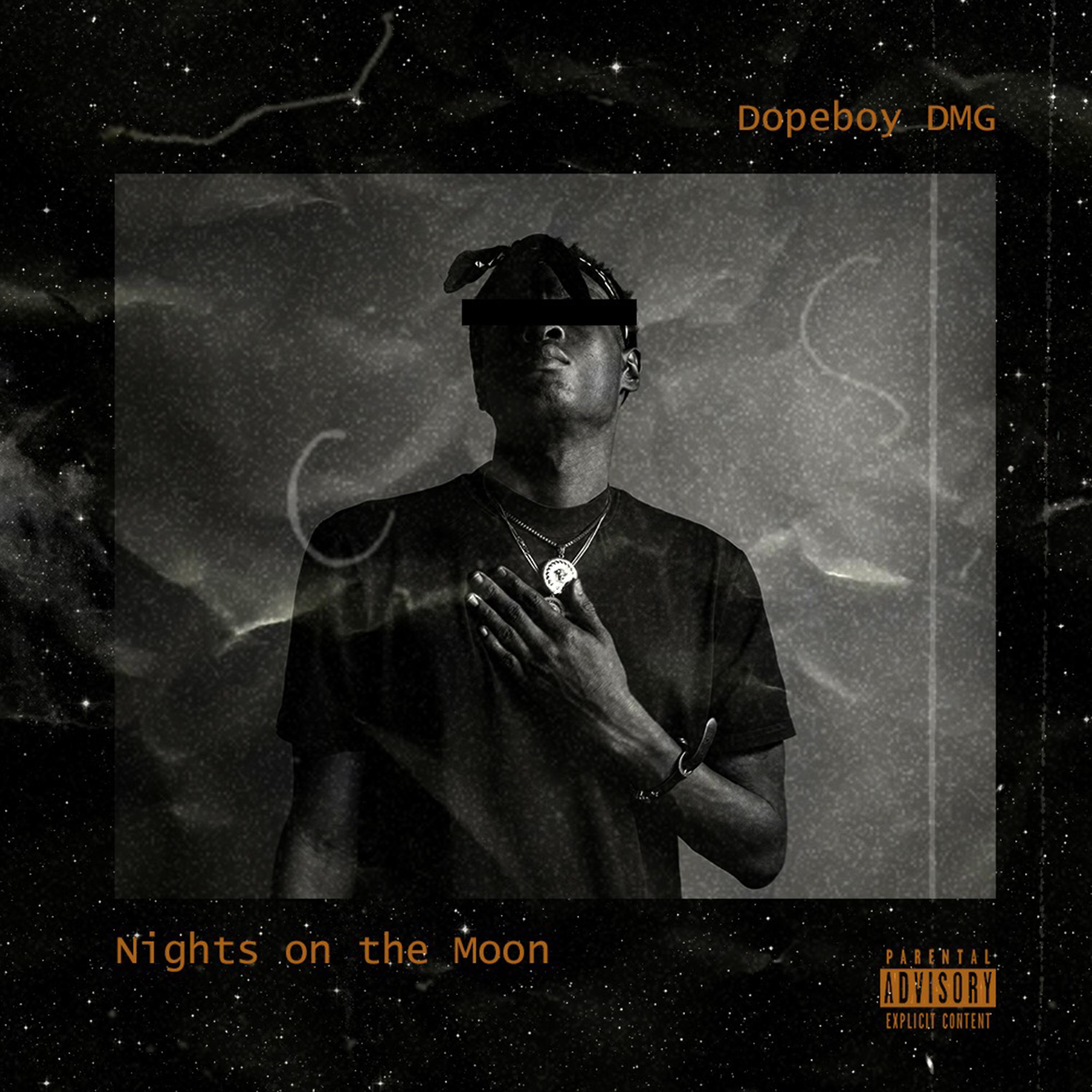 Постер альбома Nights On The Moon