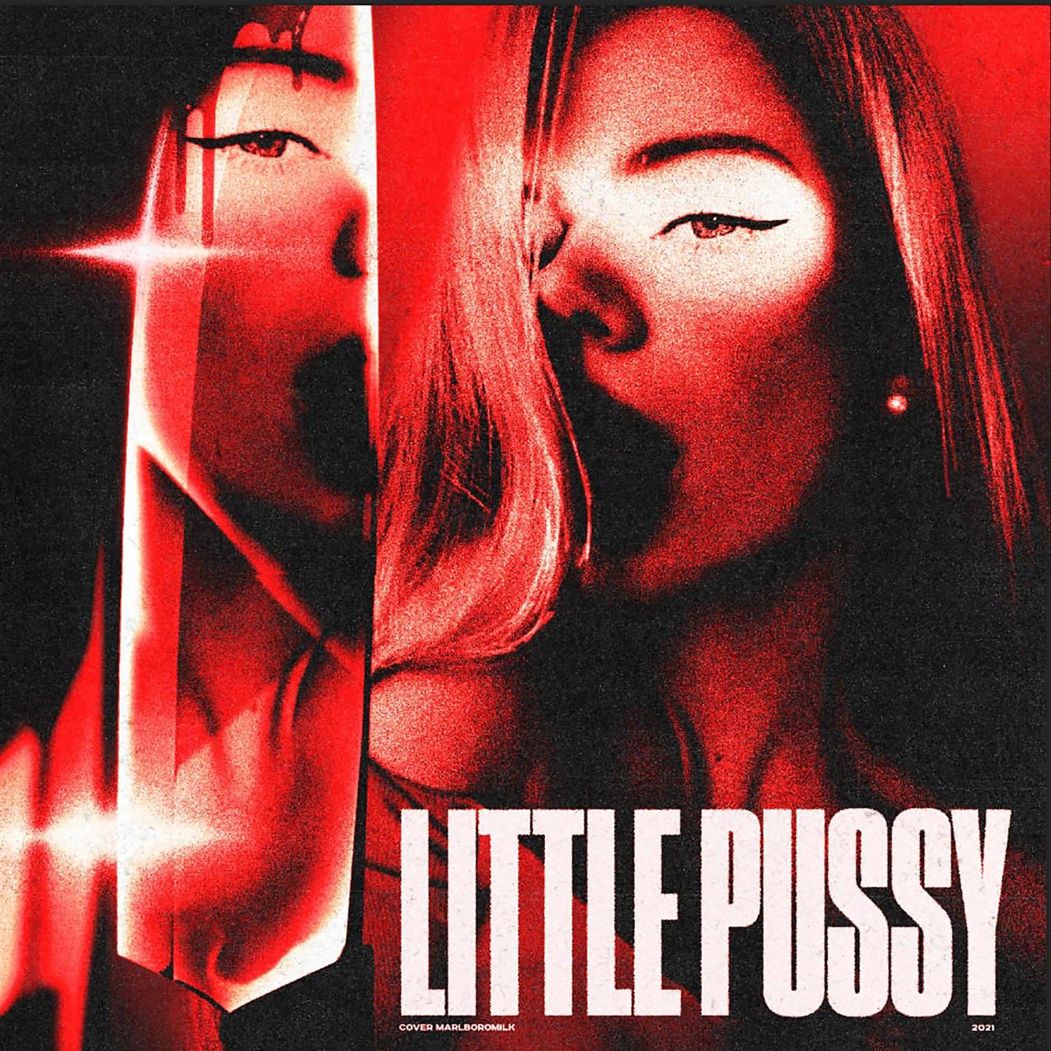 Постер альбома Little Pussy