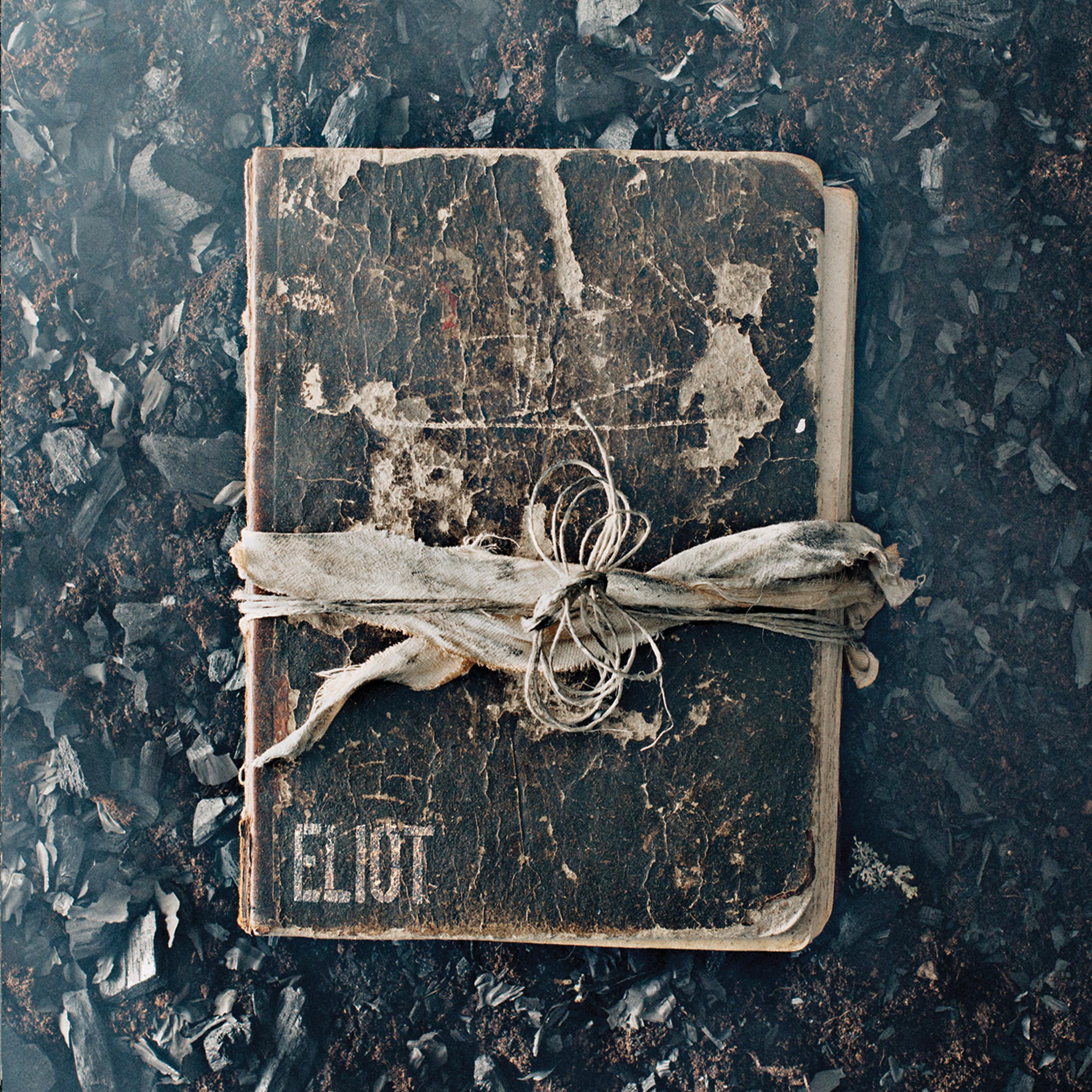 Постер альбома The Book of Eliot