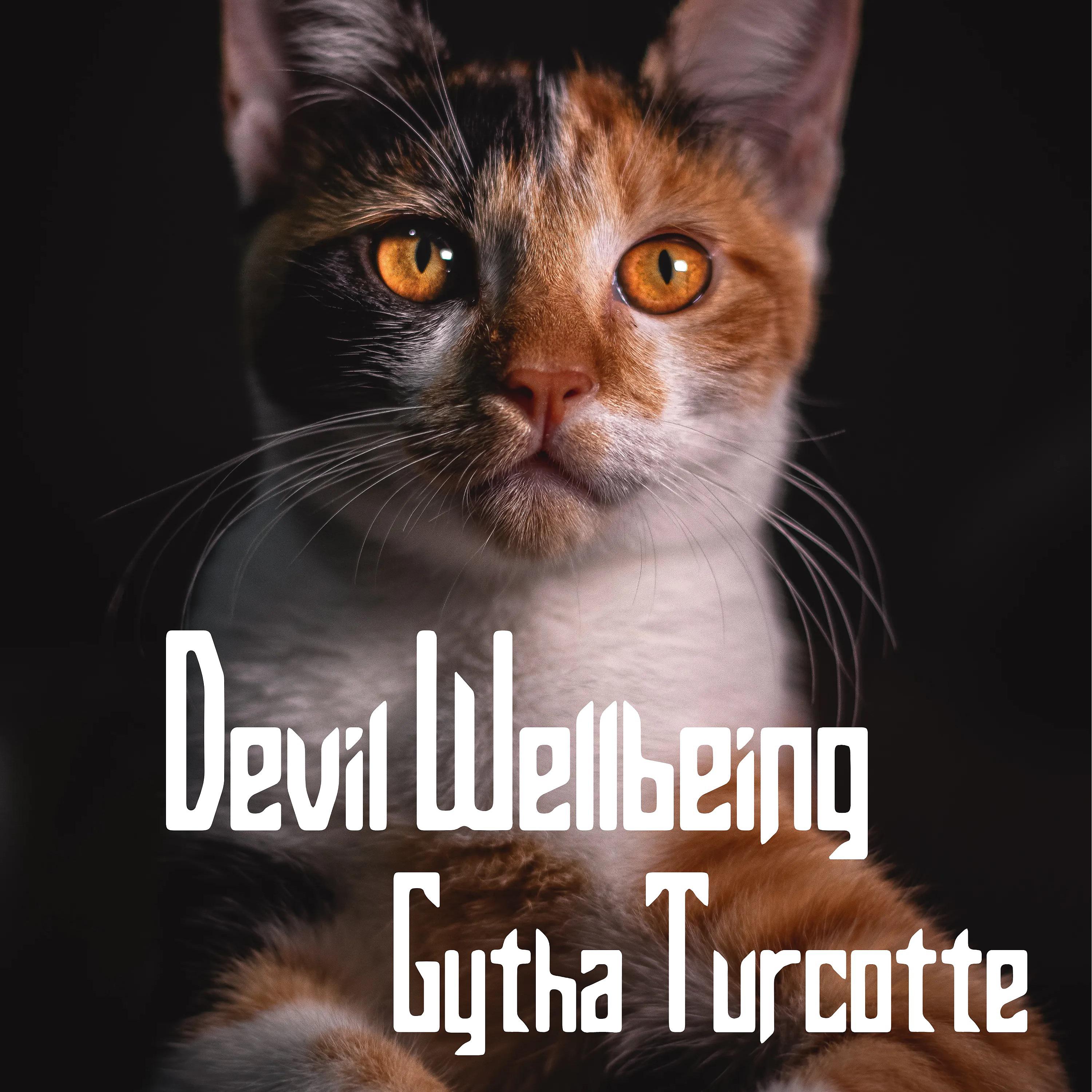 Постер альбома Devil Wellbeing