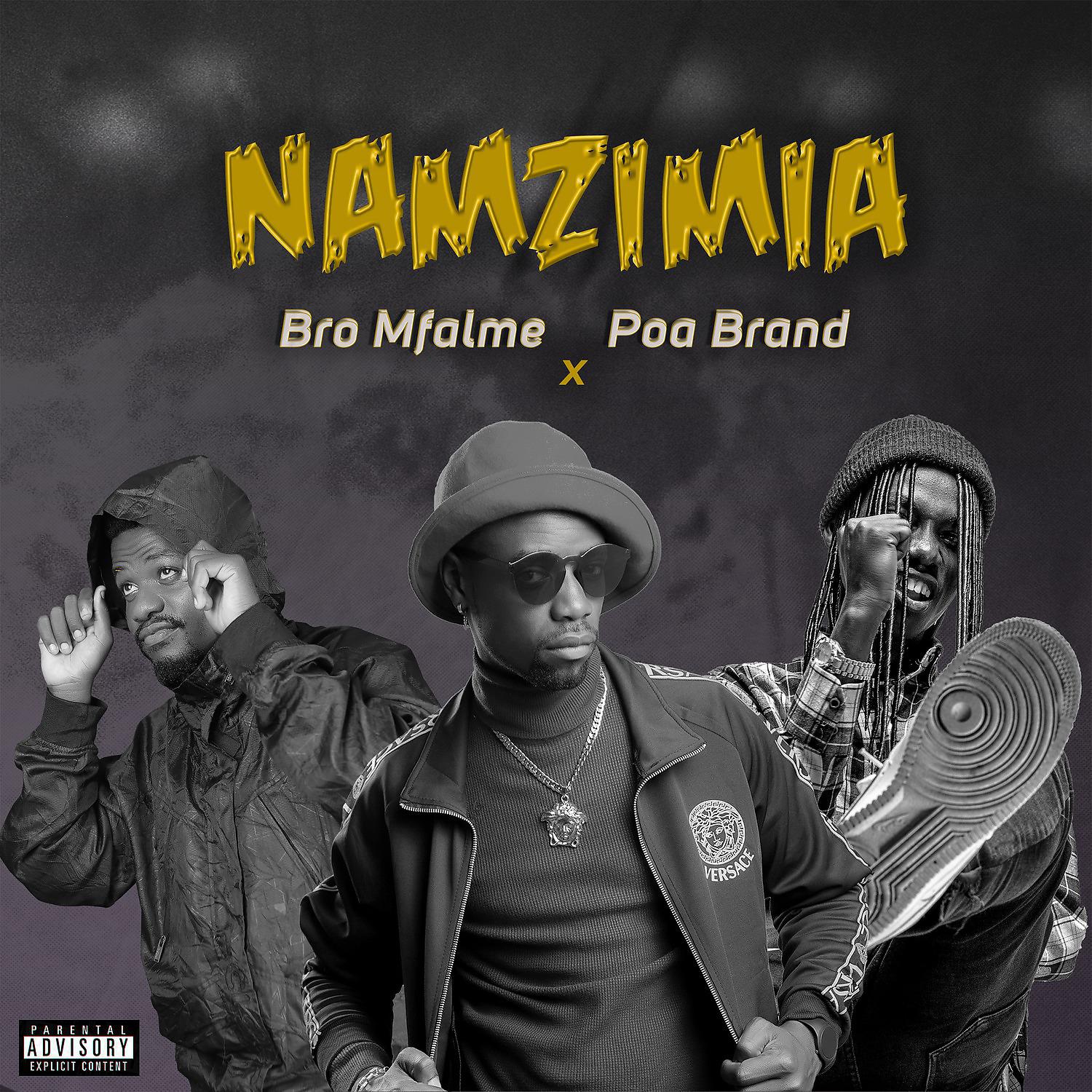 Постер альбома Namzimia