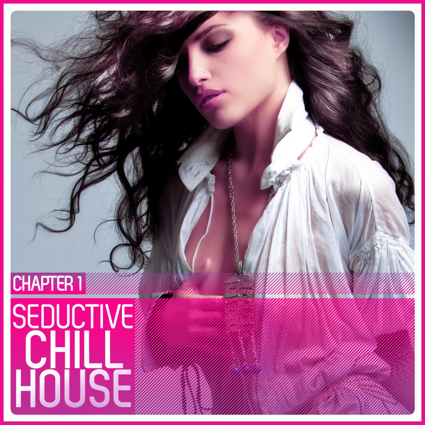 Постер альбома Seductive Chill House Chapter 1