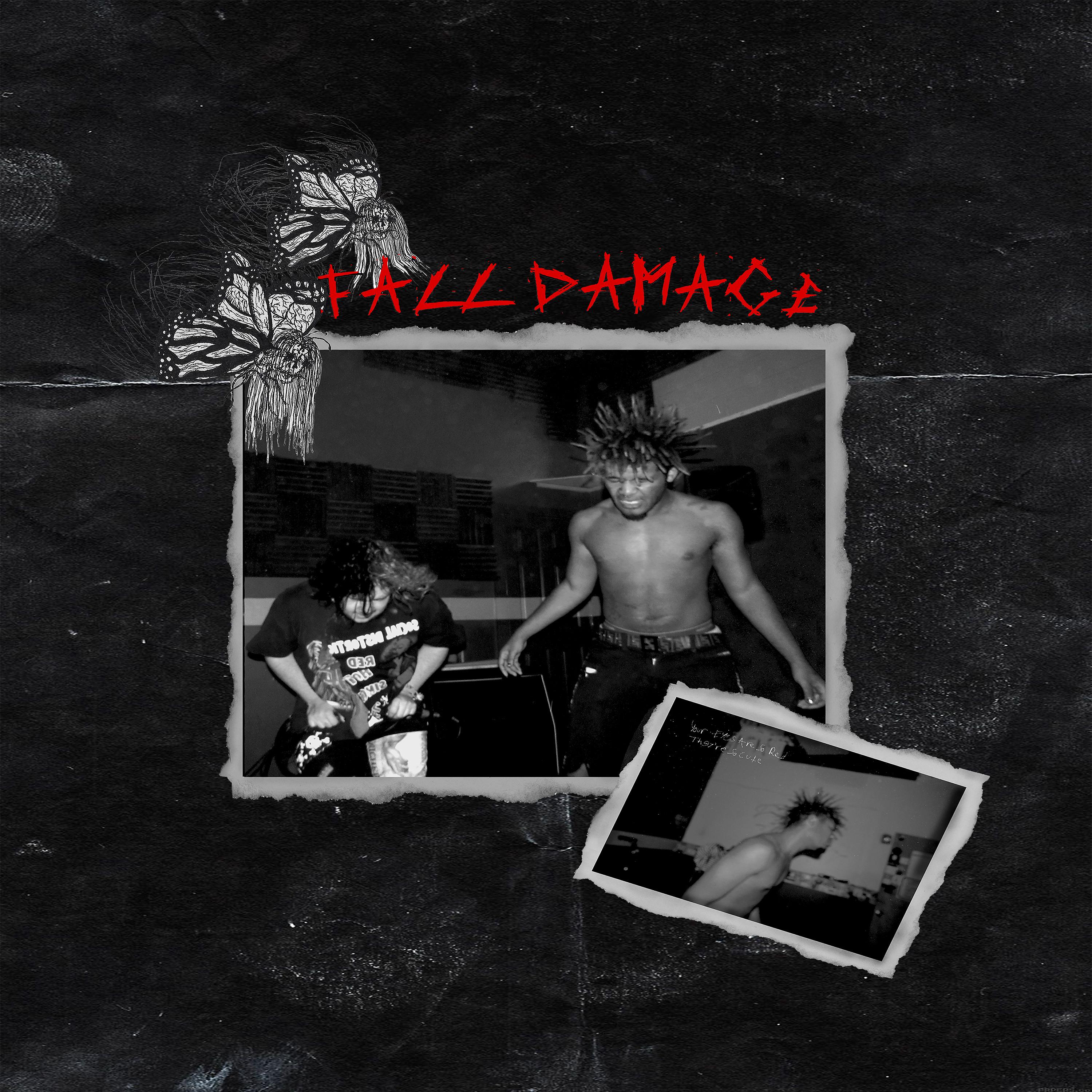Постер альбома Fall Damage