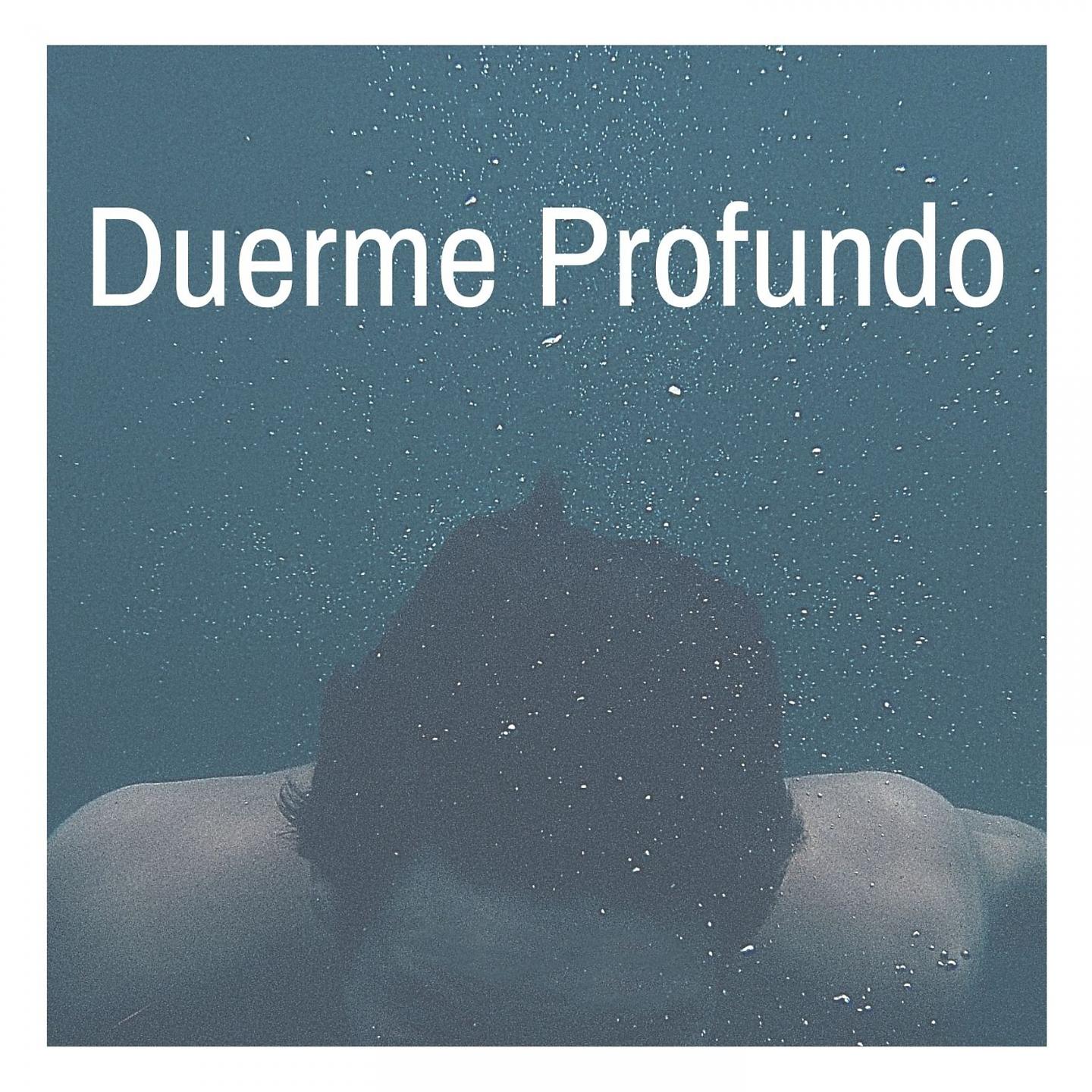 Постер альбома Duerme Profundo