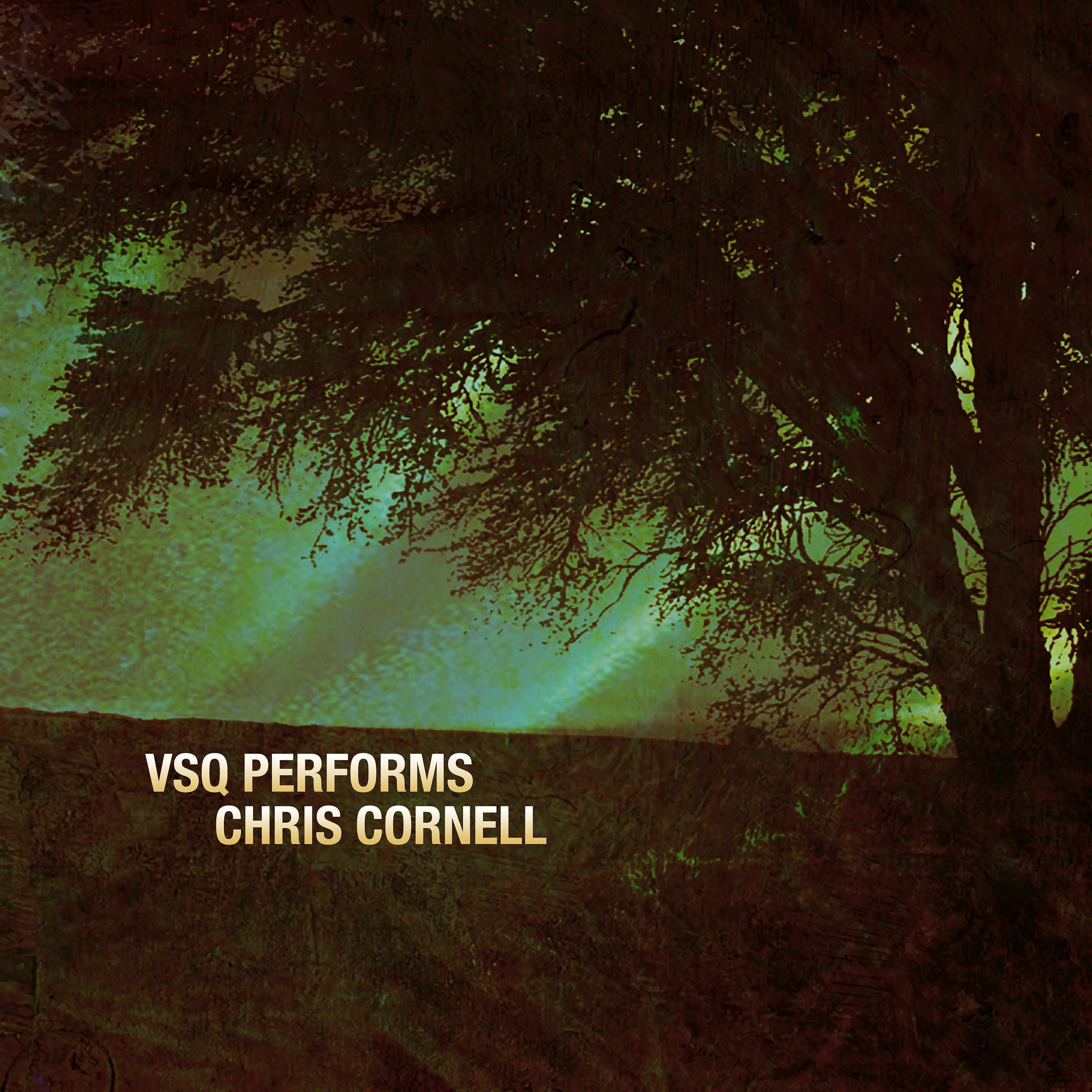 Постер альбома VSQ Performs Chris Cornell