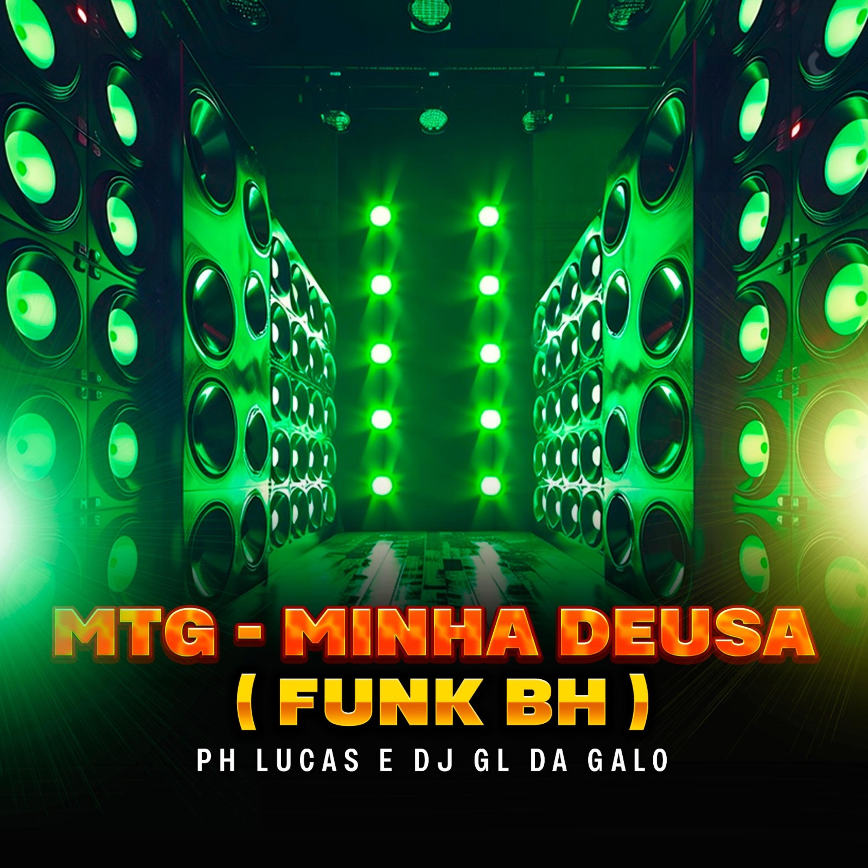 Постер альбома Mtg - Minha Deusa ( Funk Bh )