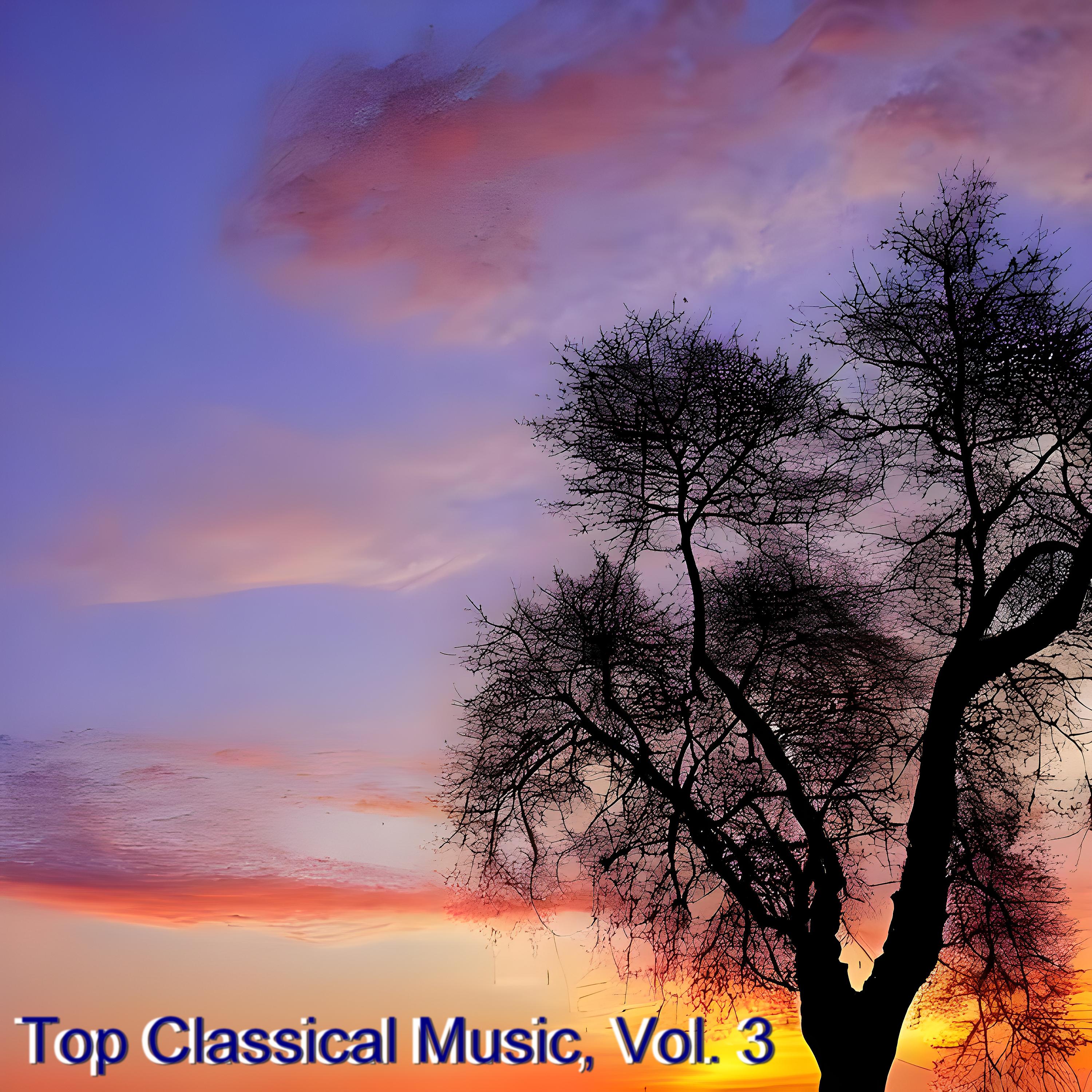 Постер альбома Top Classical Music, Vol. 3