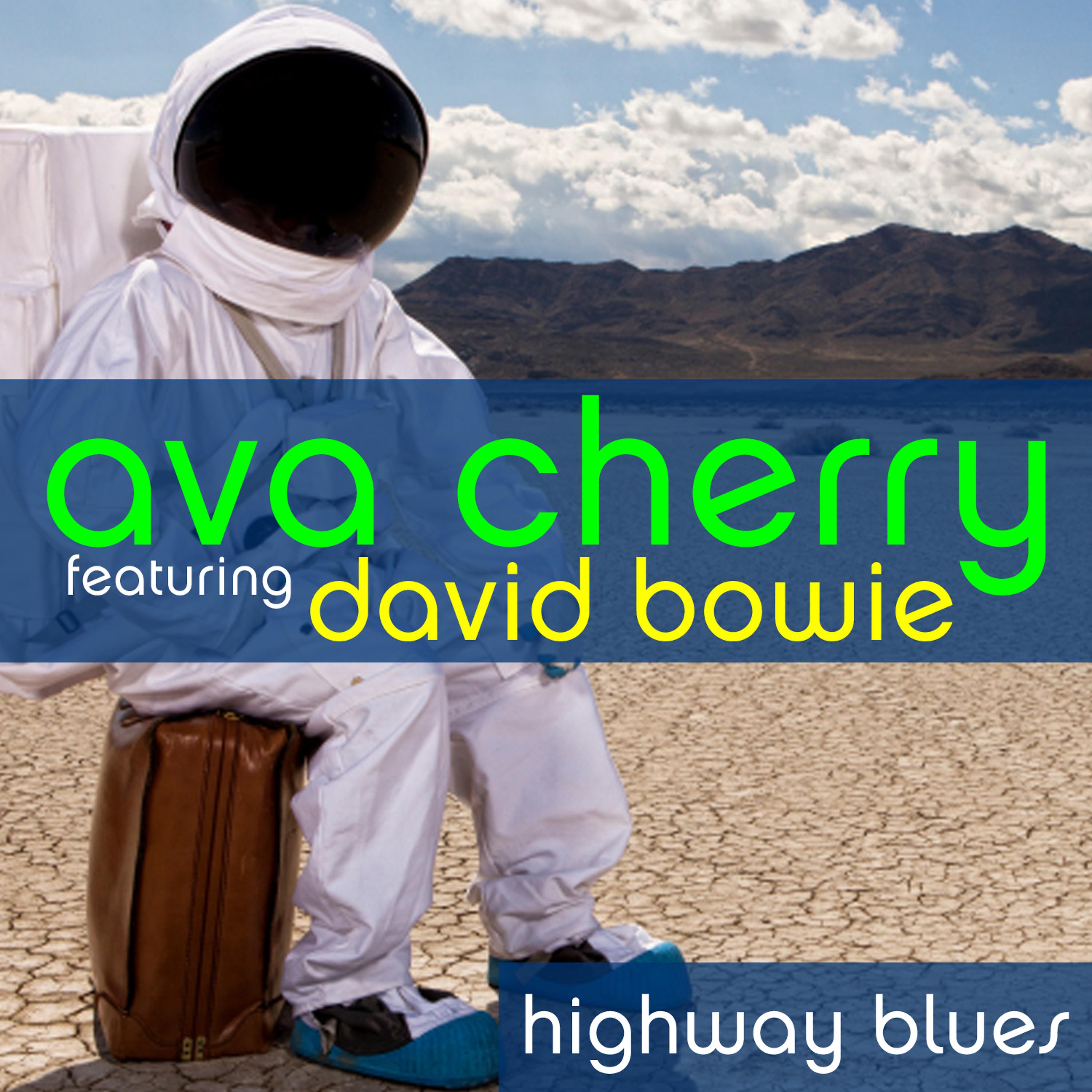 Постер альбома Highway Blues